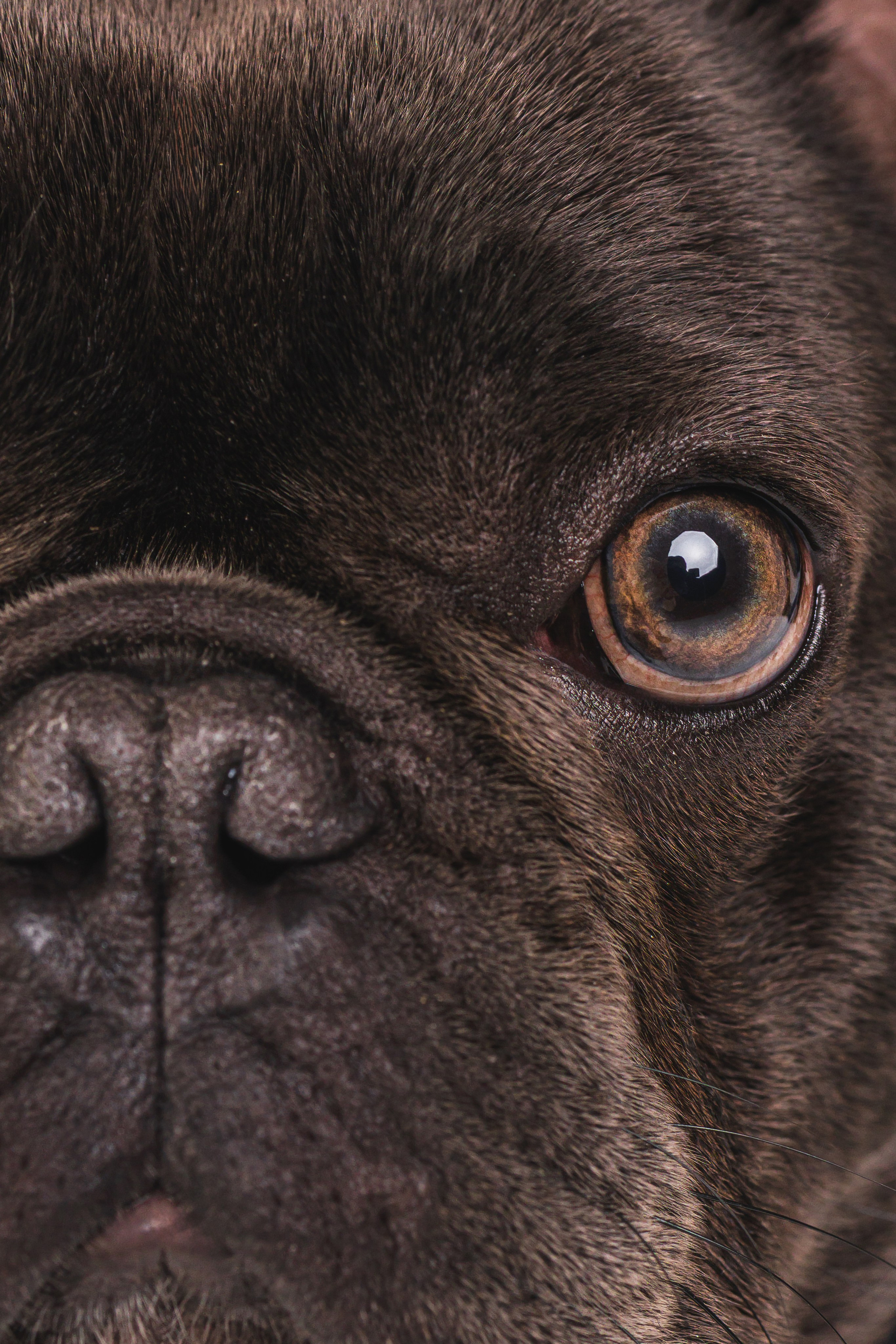 Кристина и Счастье