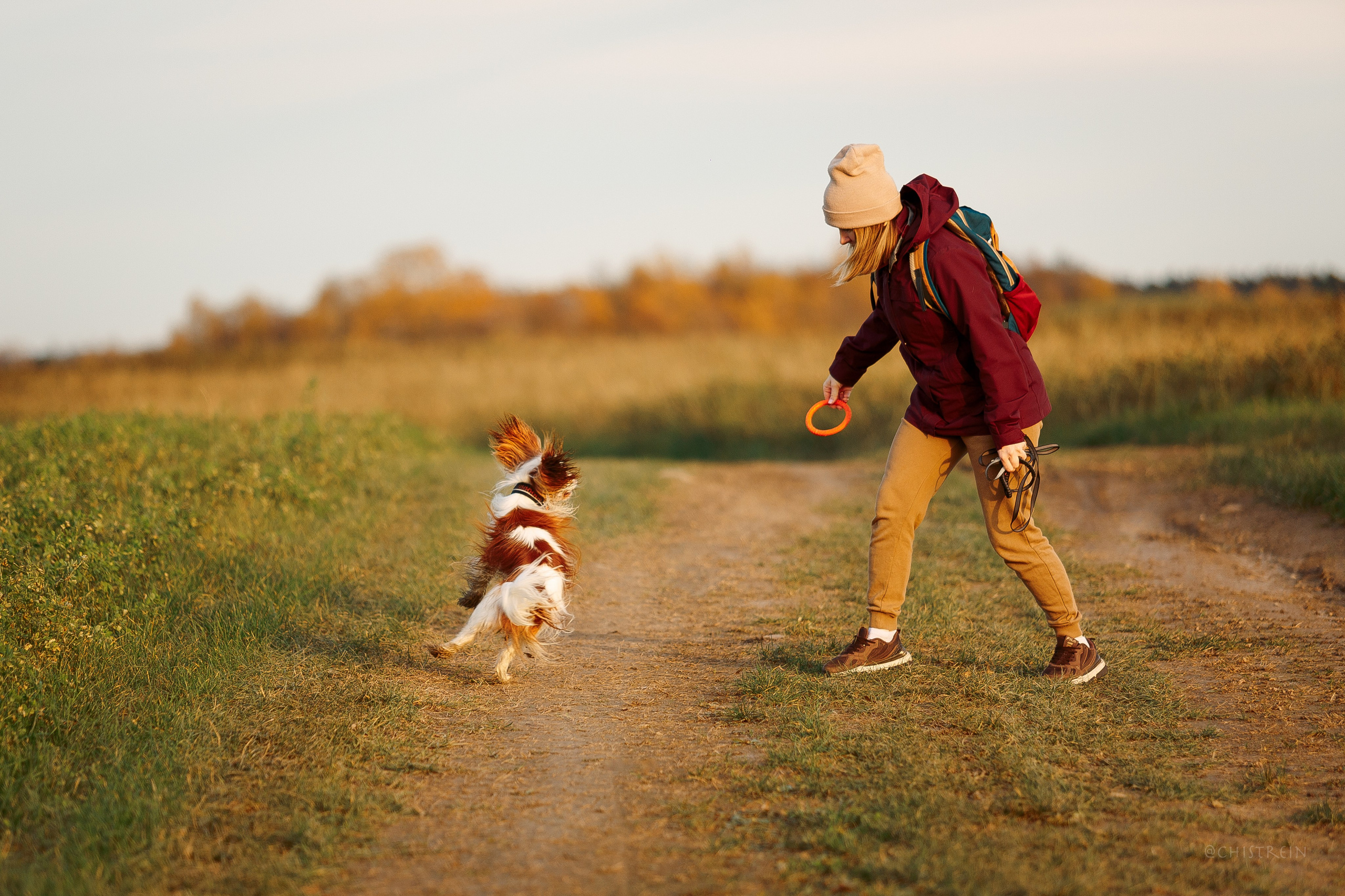 Октябрьский закат в полях. Алина и Лео. Фотограф-анималист Наталия Чистюхина в г. Сосновый Бор и ЛО