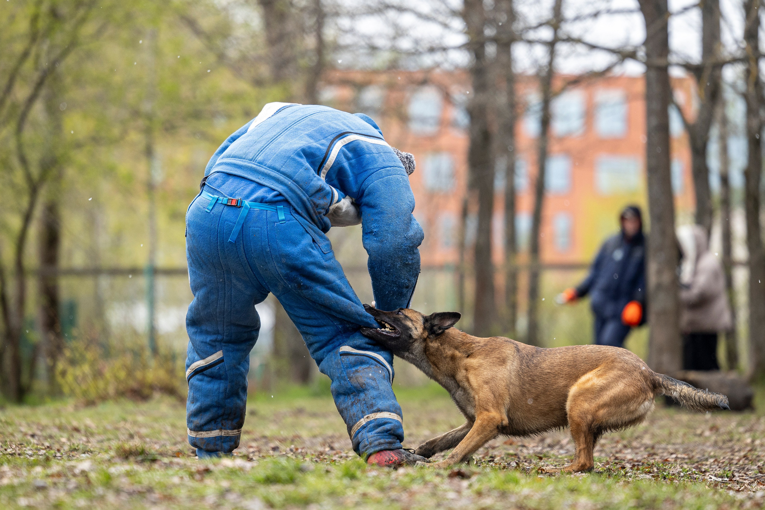 Квалификационные состязания по мондьорингу г. Вологда 11.05.24. Фотограф-анималист Анна Маринич