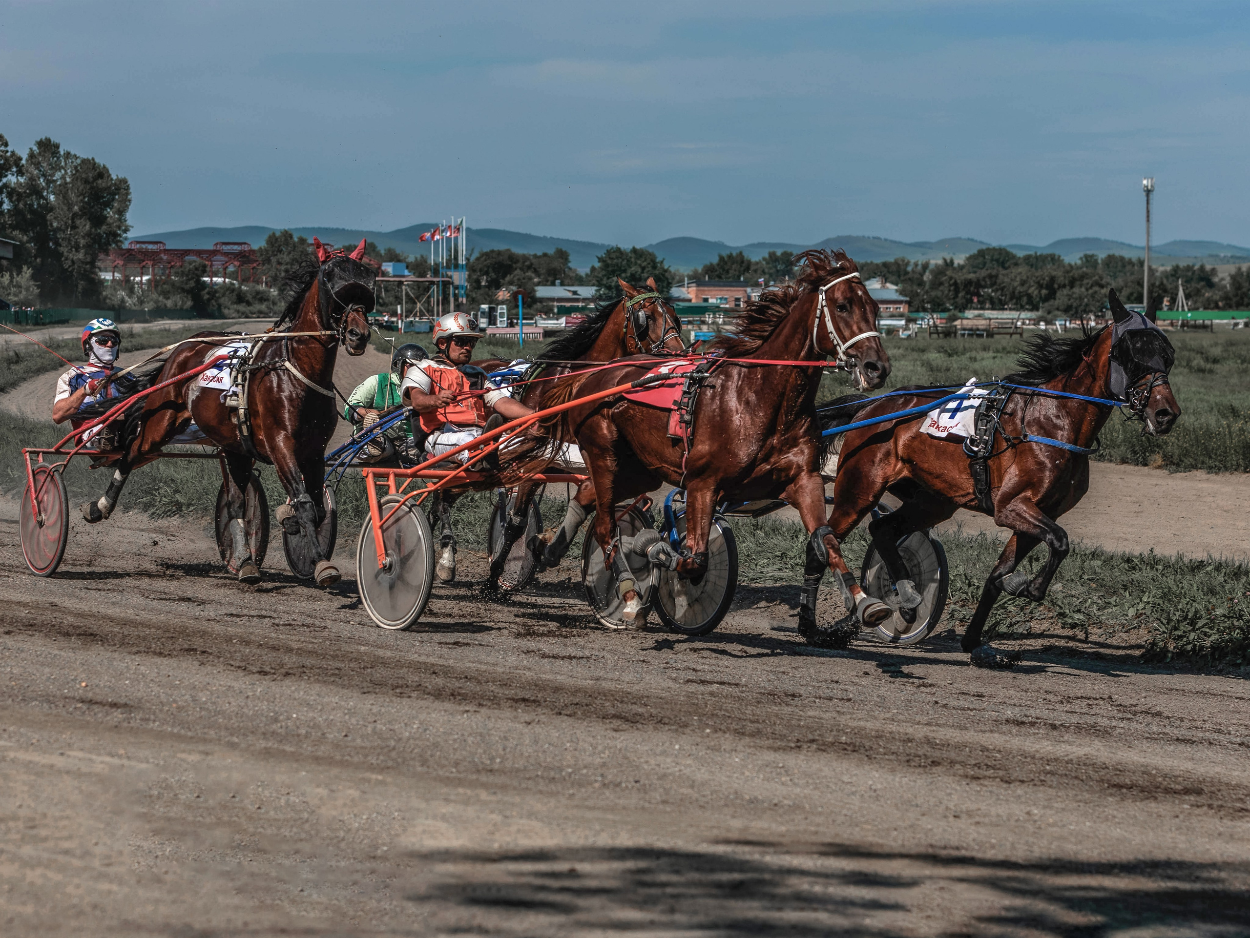 Зарисовки Абаканский ипподром 2025. Конный фотограф в Красноярске — Любовь Похабова