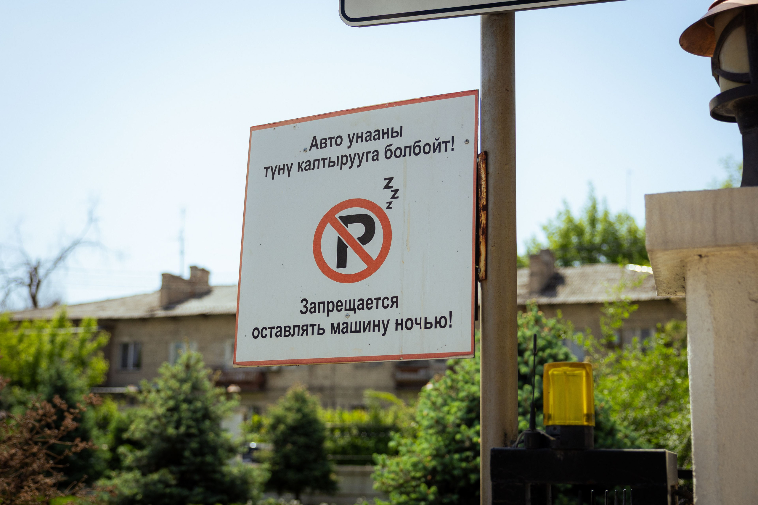 Кыргызстан (весна 2025). Фотограф Виноградов Константин