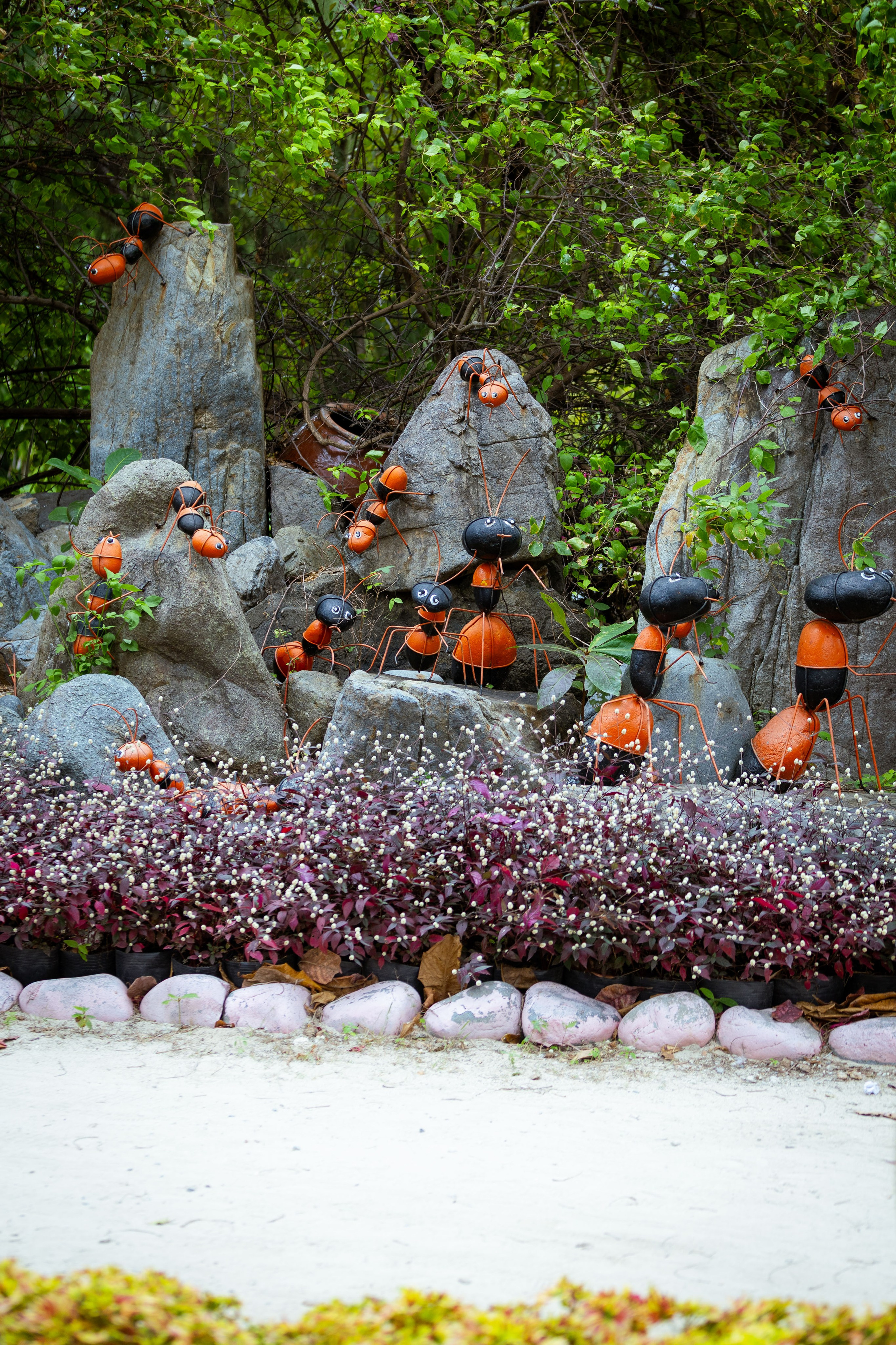 Вьетнам (зима 2025-2026). Фотограф Виноградов Константин