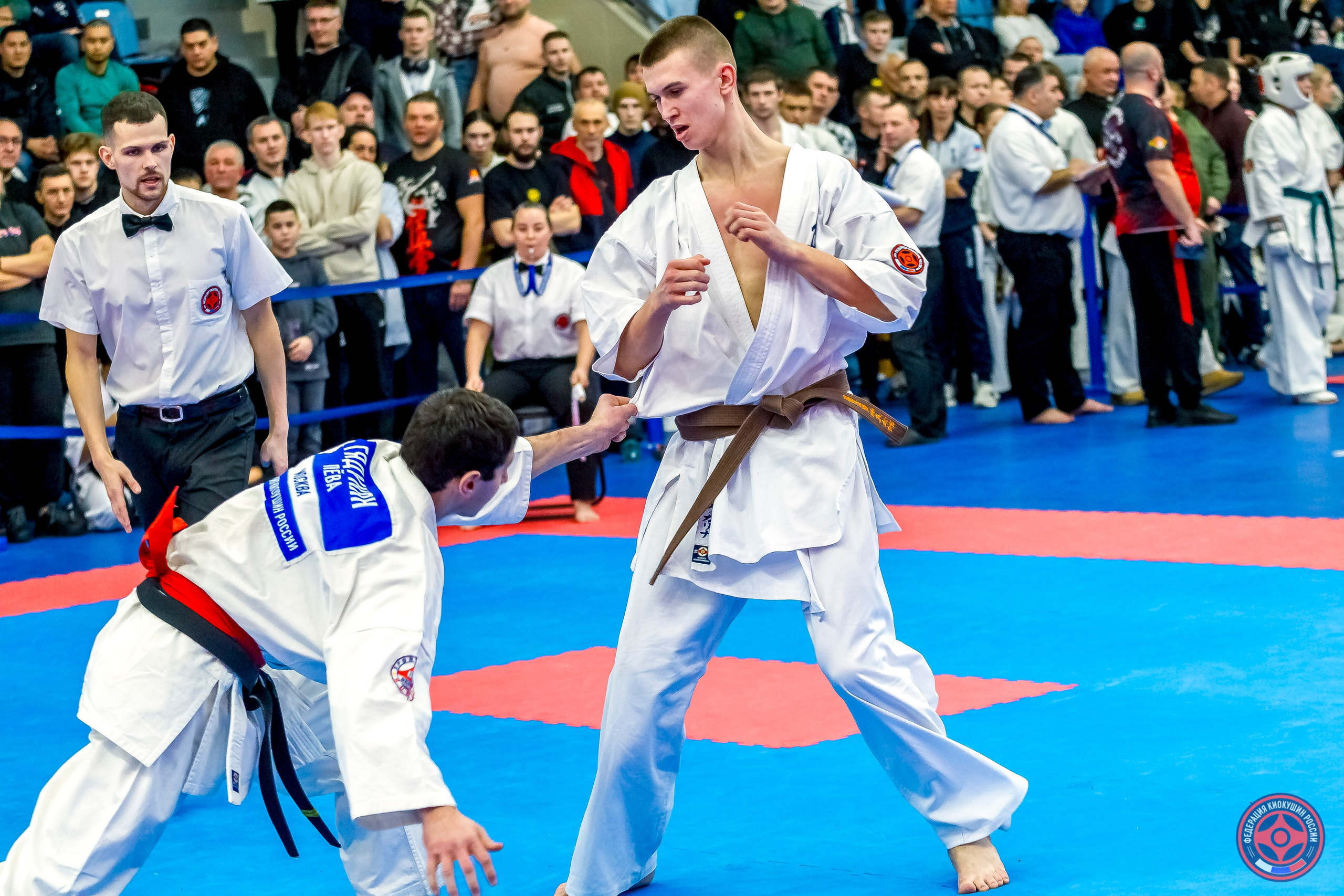 Международный турнир по киокушин «Открытый кубок Seiken». Репортажная съемка в Москве и области. Анималистика