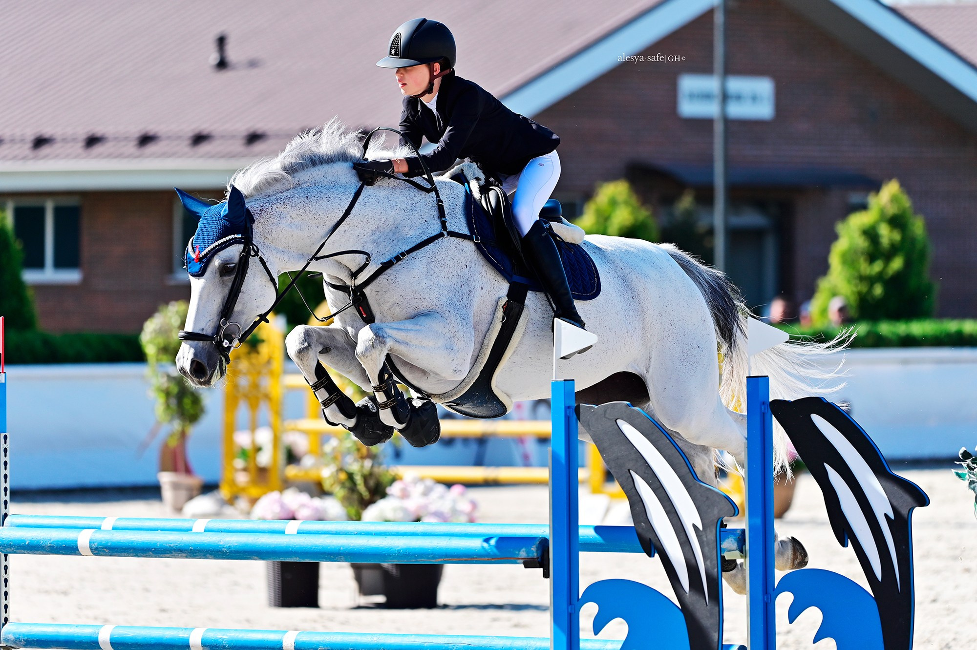 Голден. Конный фотограф Alesya Safe