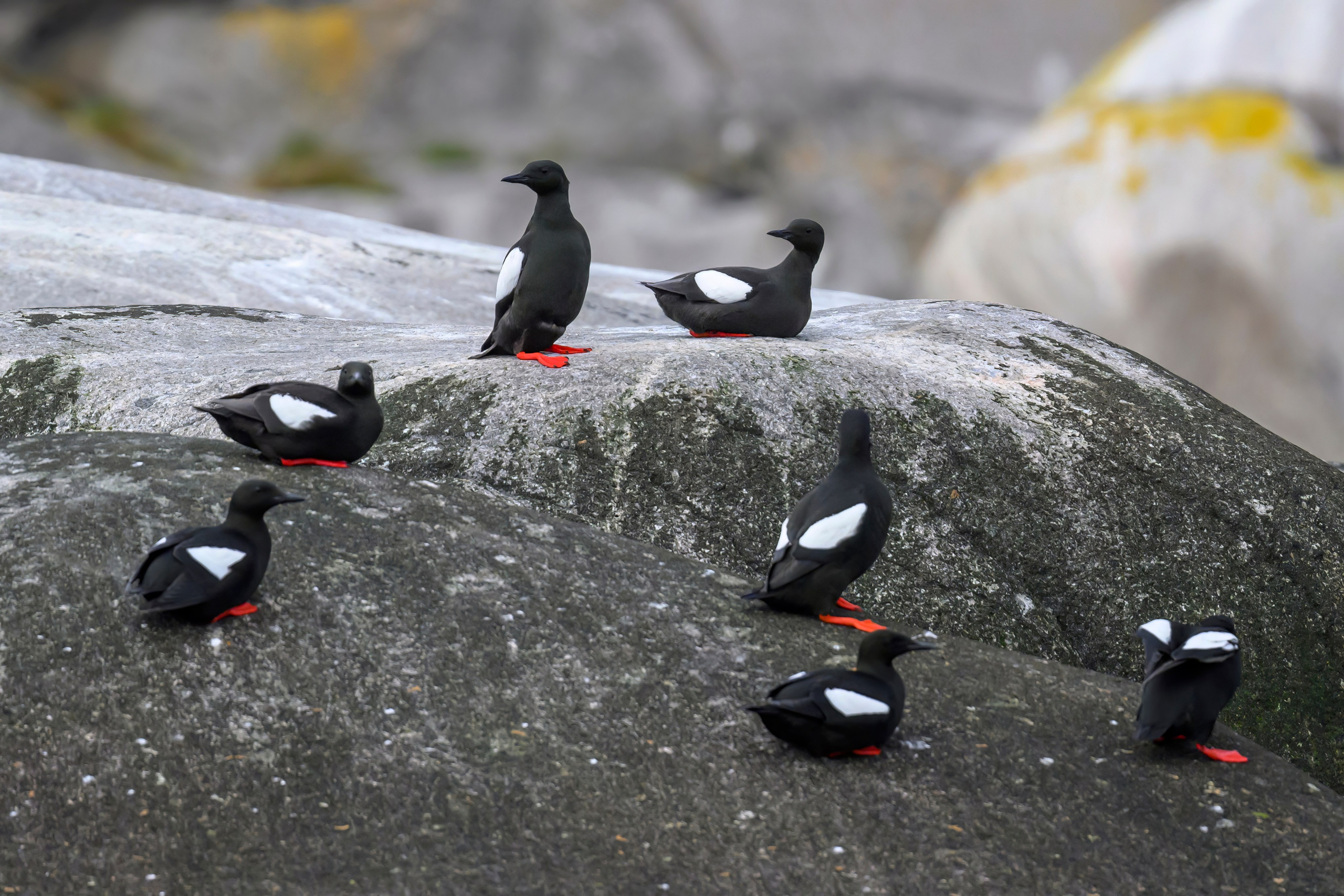 Чистики. Фотограф Сергей Пупонин