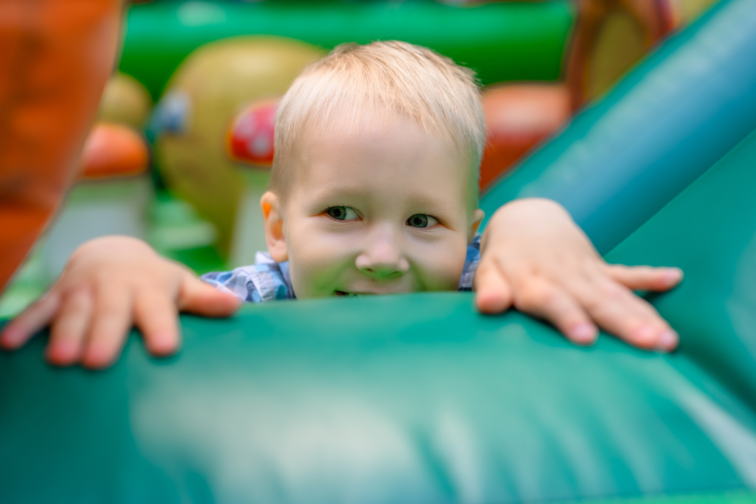 Лев 3 года. Семейный фотограф и анималист в Москве и Московской области