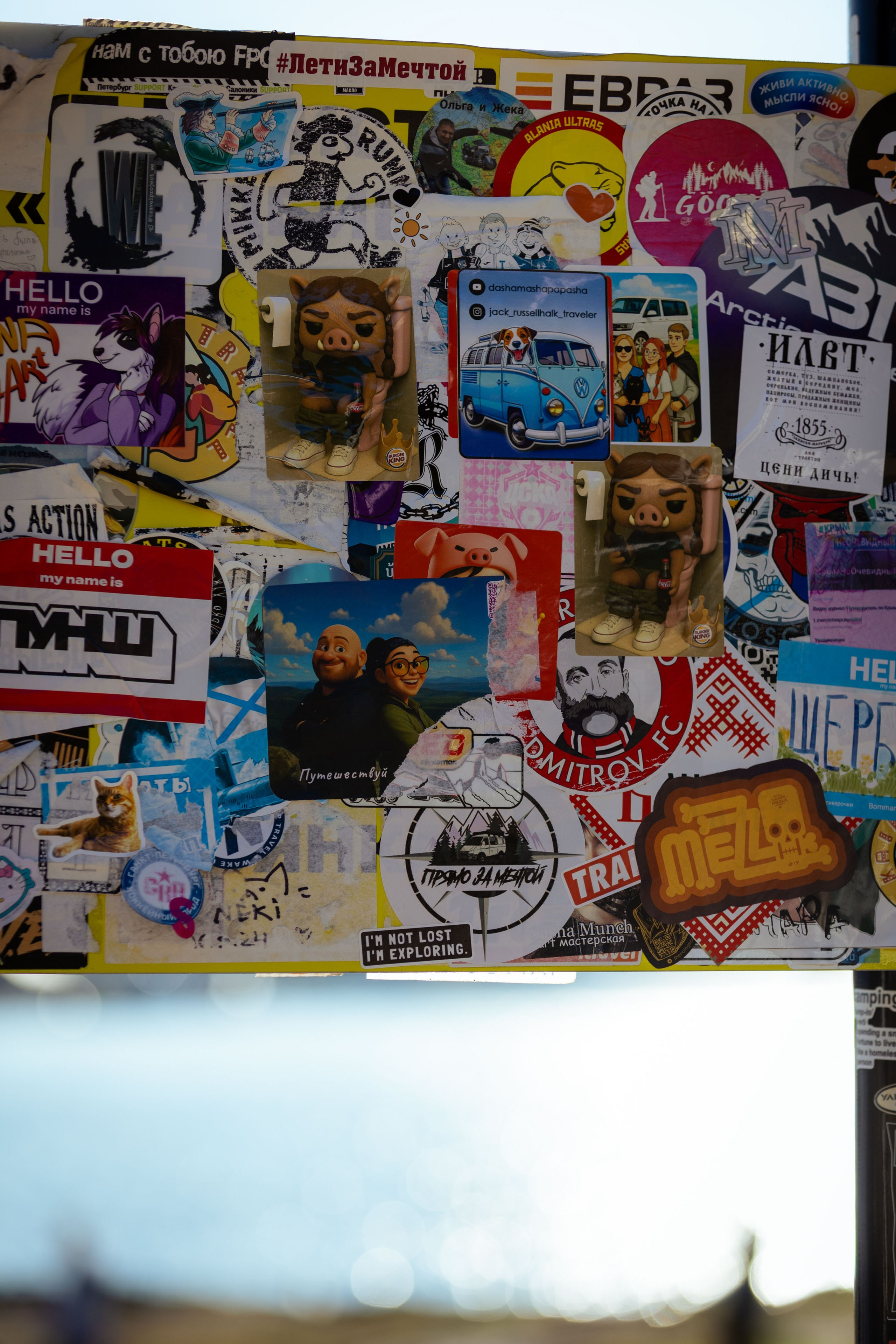 Кольский (осень 2025). Фотограф Виноградов Константин