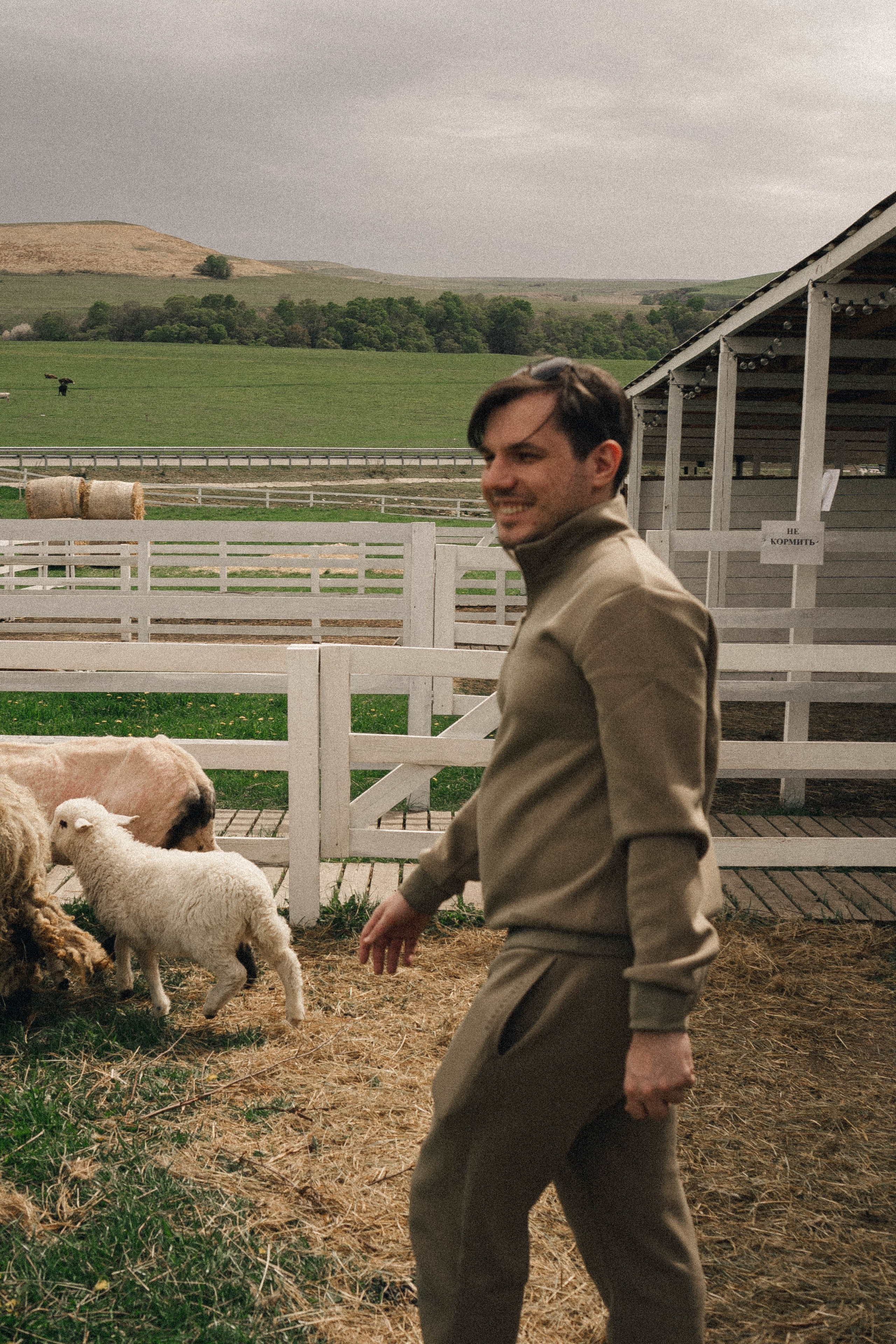 Ферма Альпак. Профессиональный фотограф, Санкт-Петербург — Виктория Богомолова