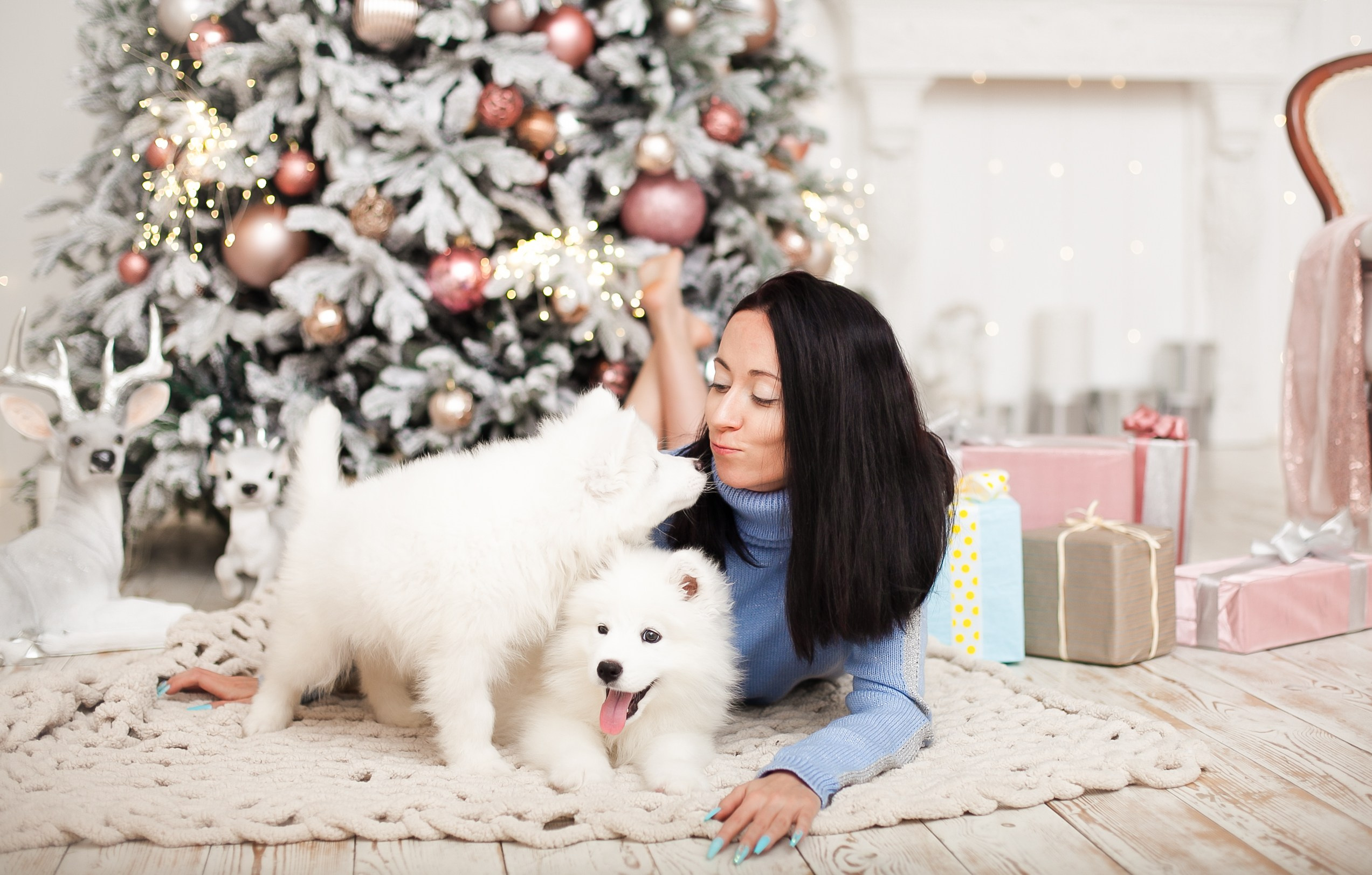 Фотосессия с животными в студии. Фотопроекты, фотодни и фотосессии в Москве