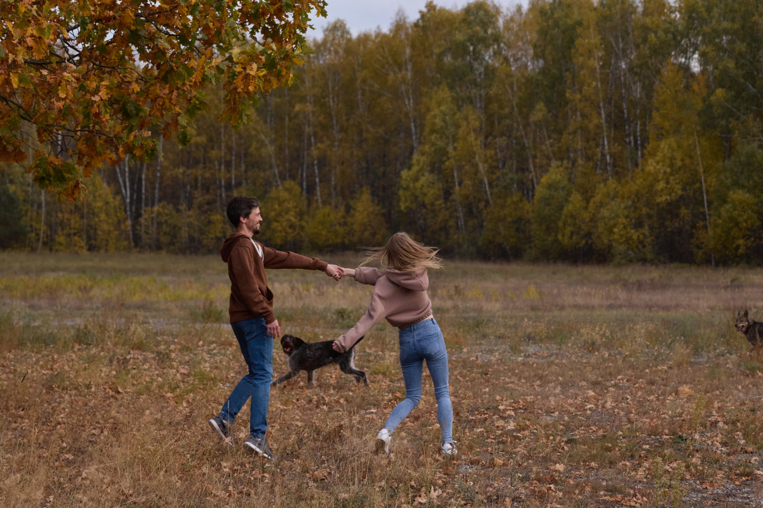 Семейная история. Фотограф анималист в Казани Алина Сулейманова. Фотограф животных