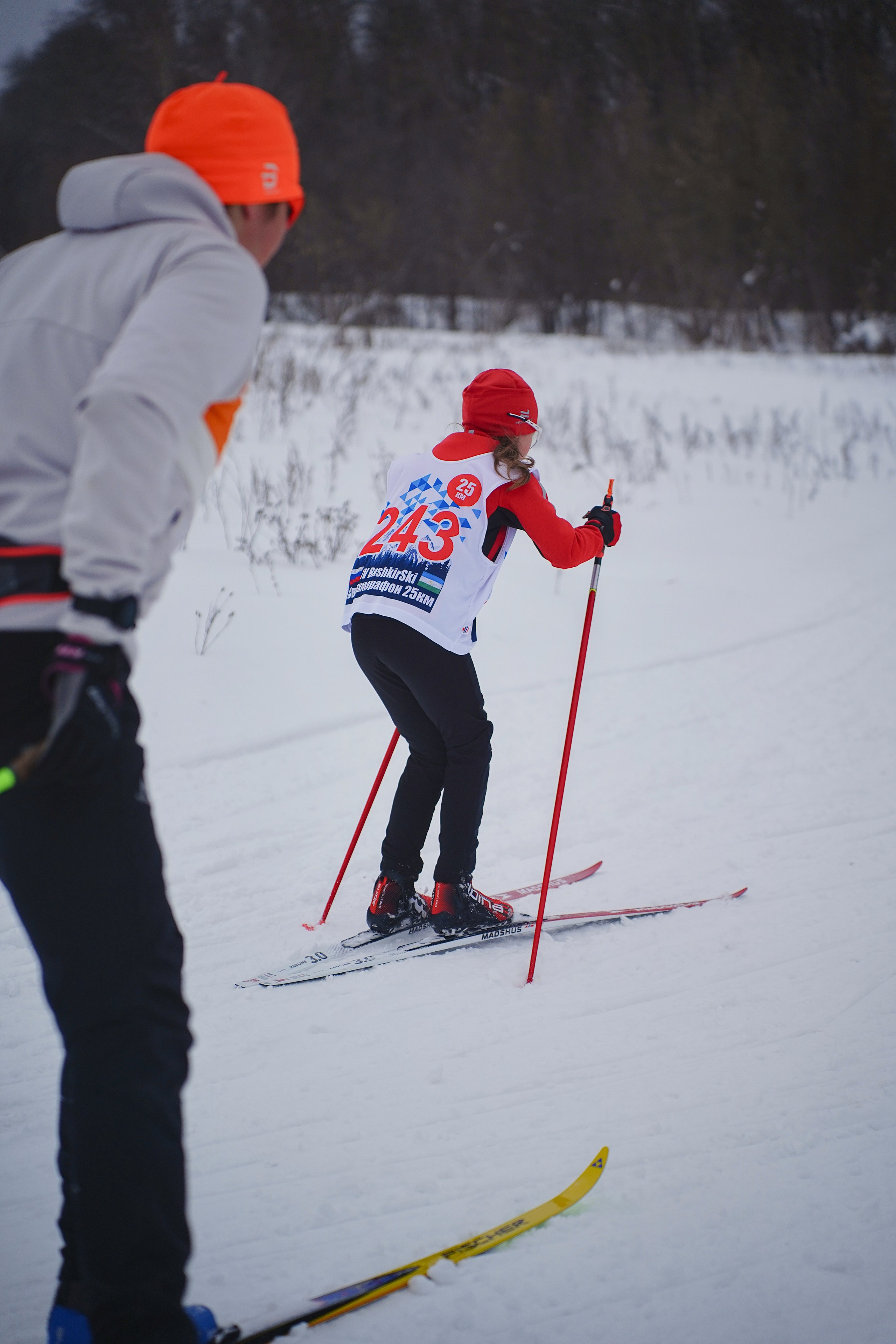 4-й BASHKIR-SKI Лыжный Сверхмарафон 100 км. Pupov.png