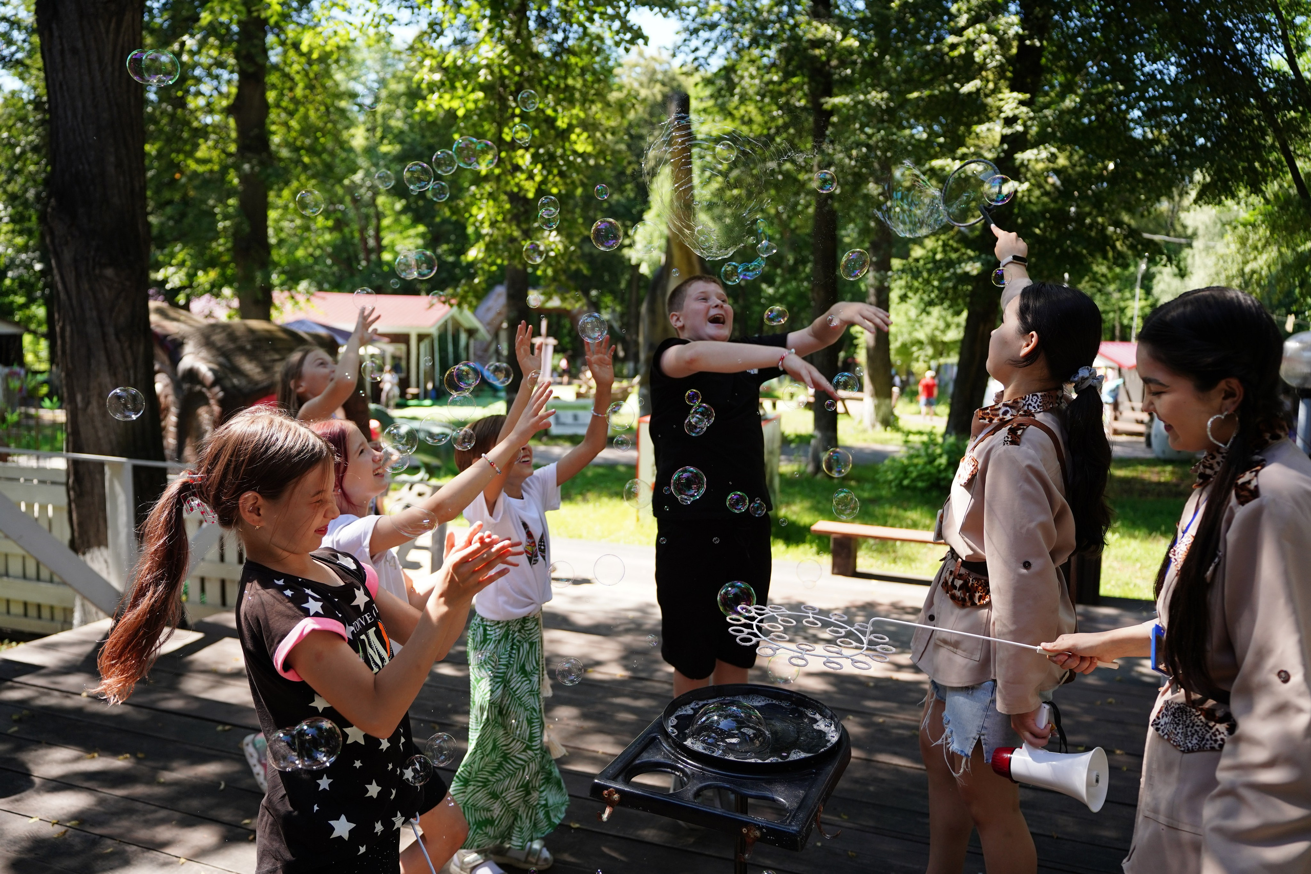 Детский день рождения Анна. Pupov.png