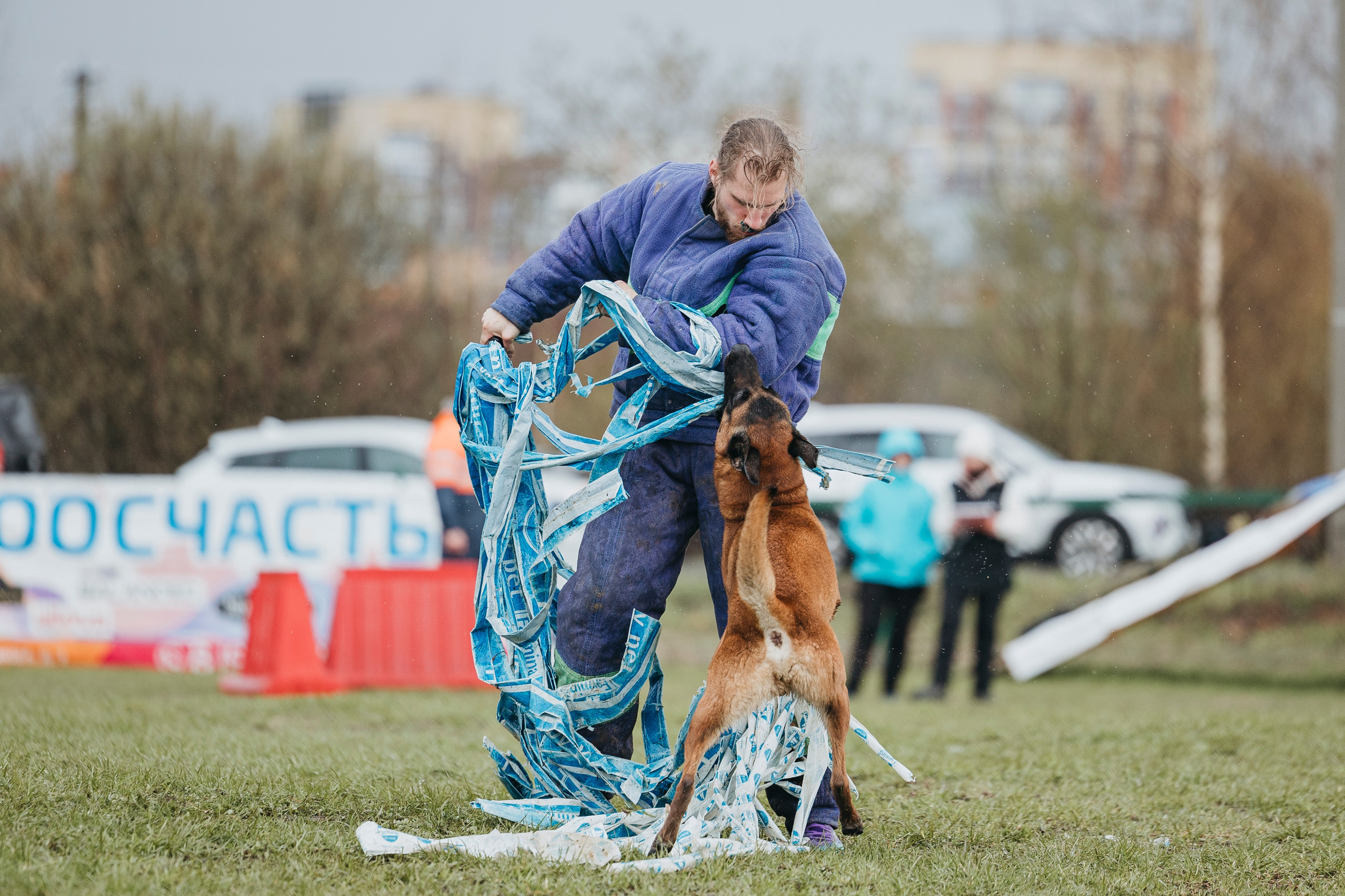 09.05.25 Вологда соревнования. Фотограф-анималист Анна Маринич
