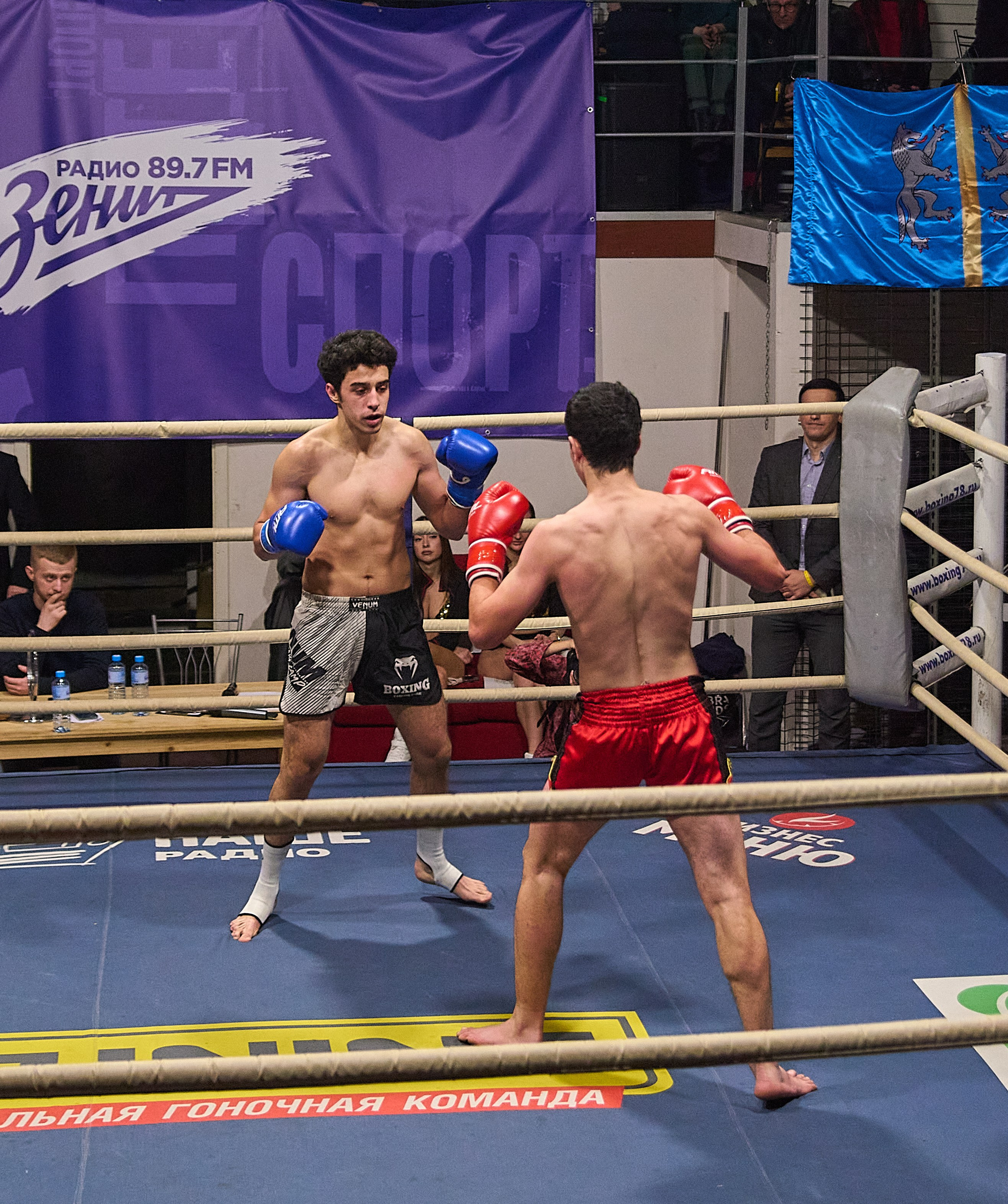 «Ультиматум удара» — бокс. Профессиональный спортивный фотограф в Санкт-Петербурге