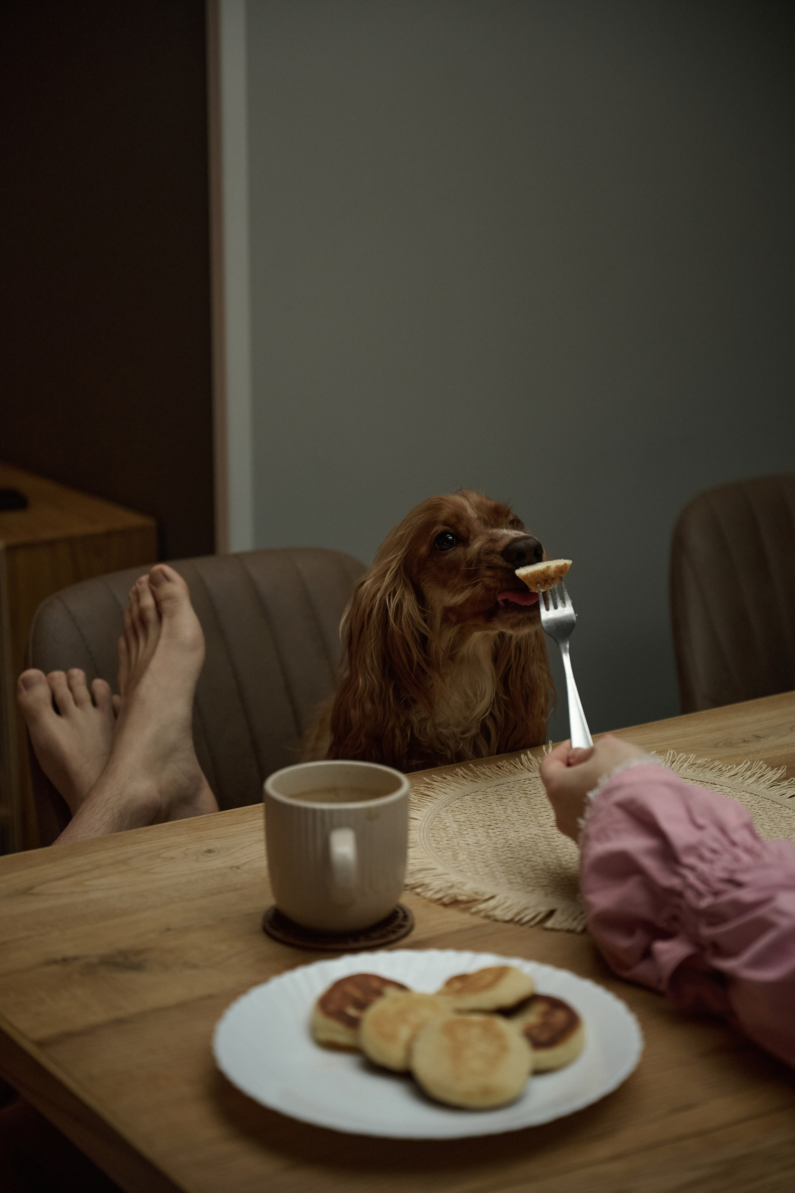 Егор и Аня. Свадебный фотограф МОСКВА, КРЫМ, СМОЛЕНСК АЛЯ КОНОВАЛОВА