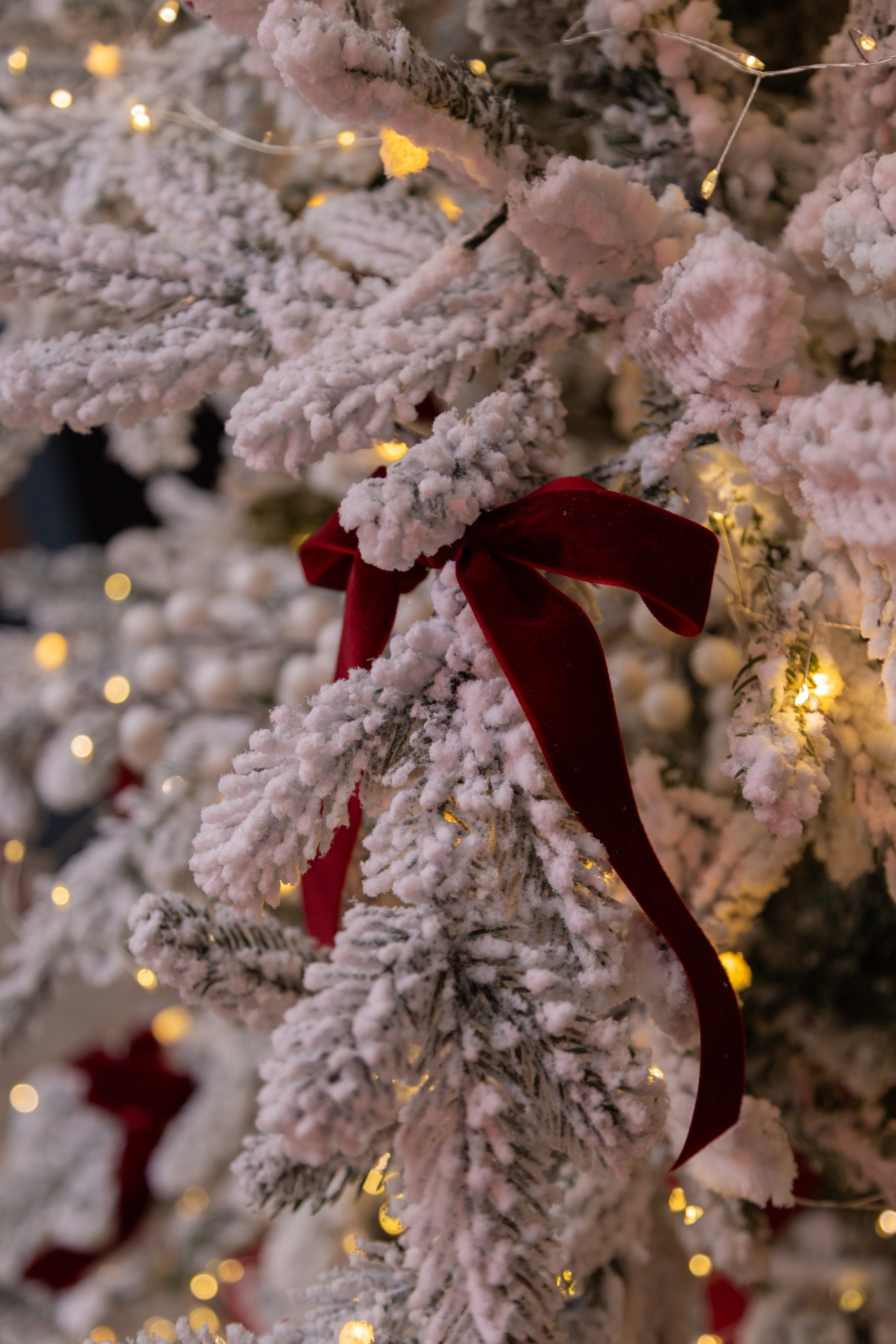 Белый Осел. Детский семейный фотограф Краснодар