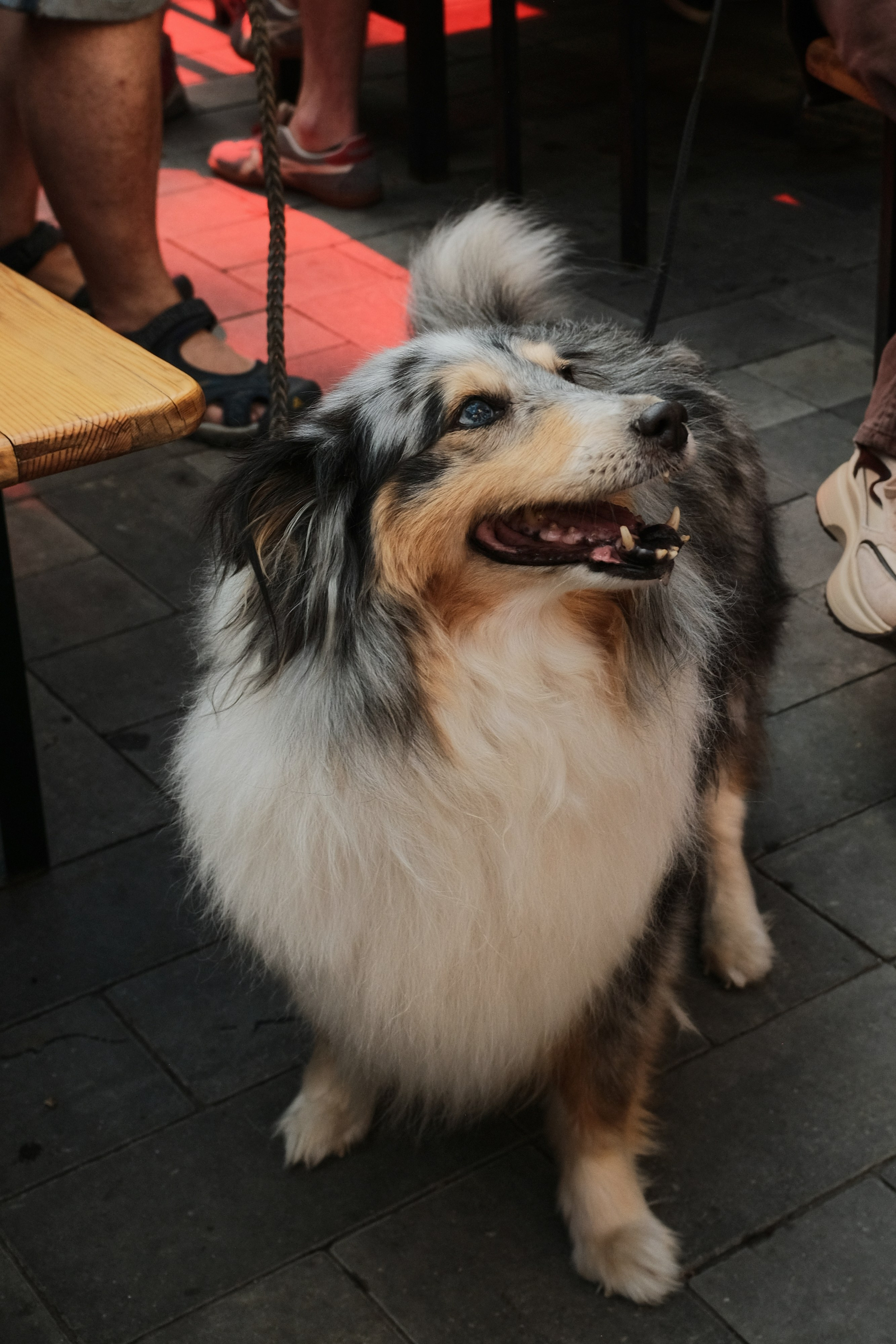 Rostov-on-Don. Creative travel photographer — Berg Daria