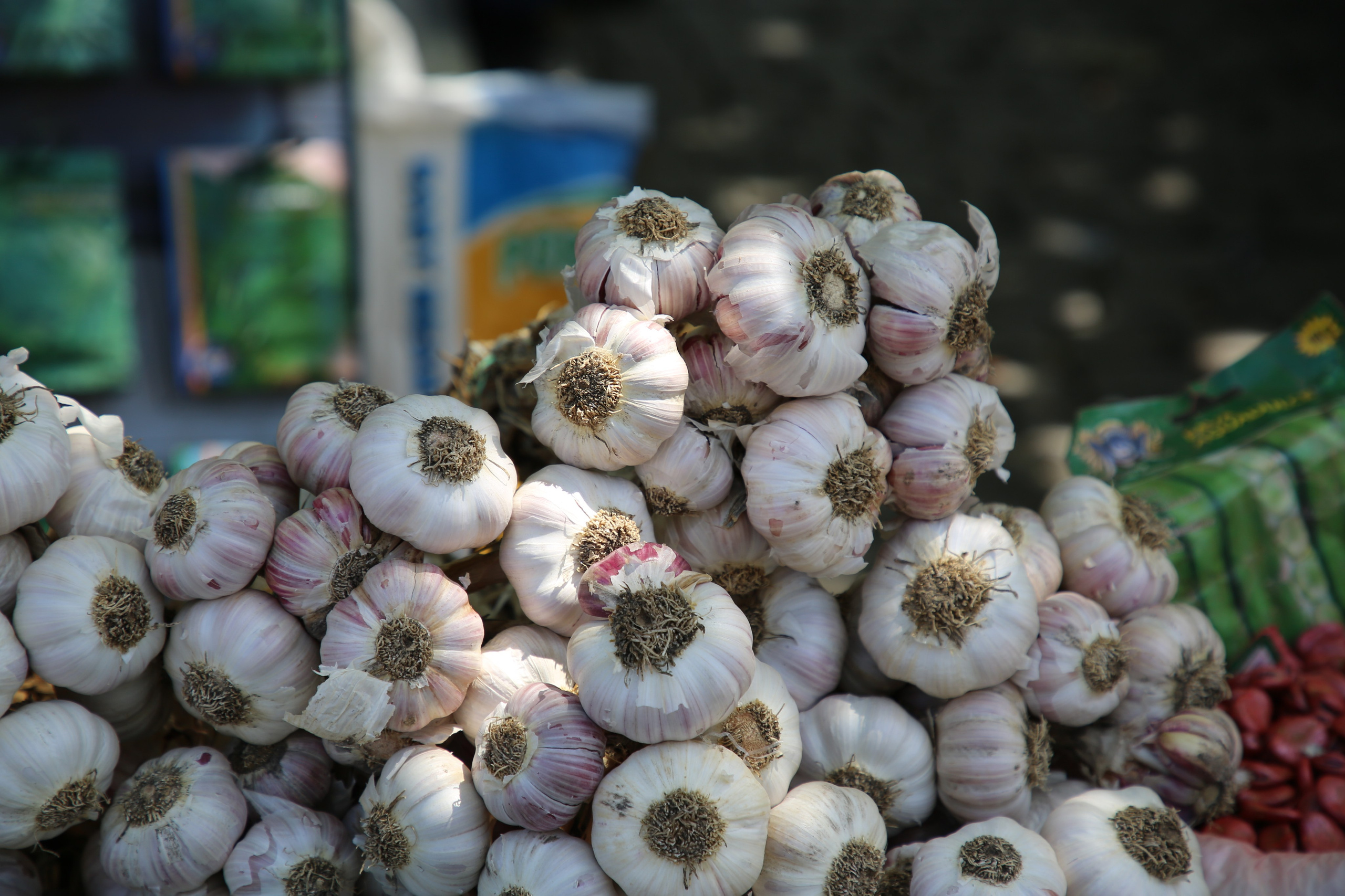 Espihnio, Portugal. Andrey Filippov Photographer