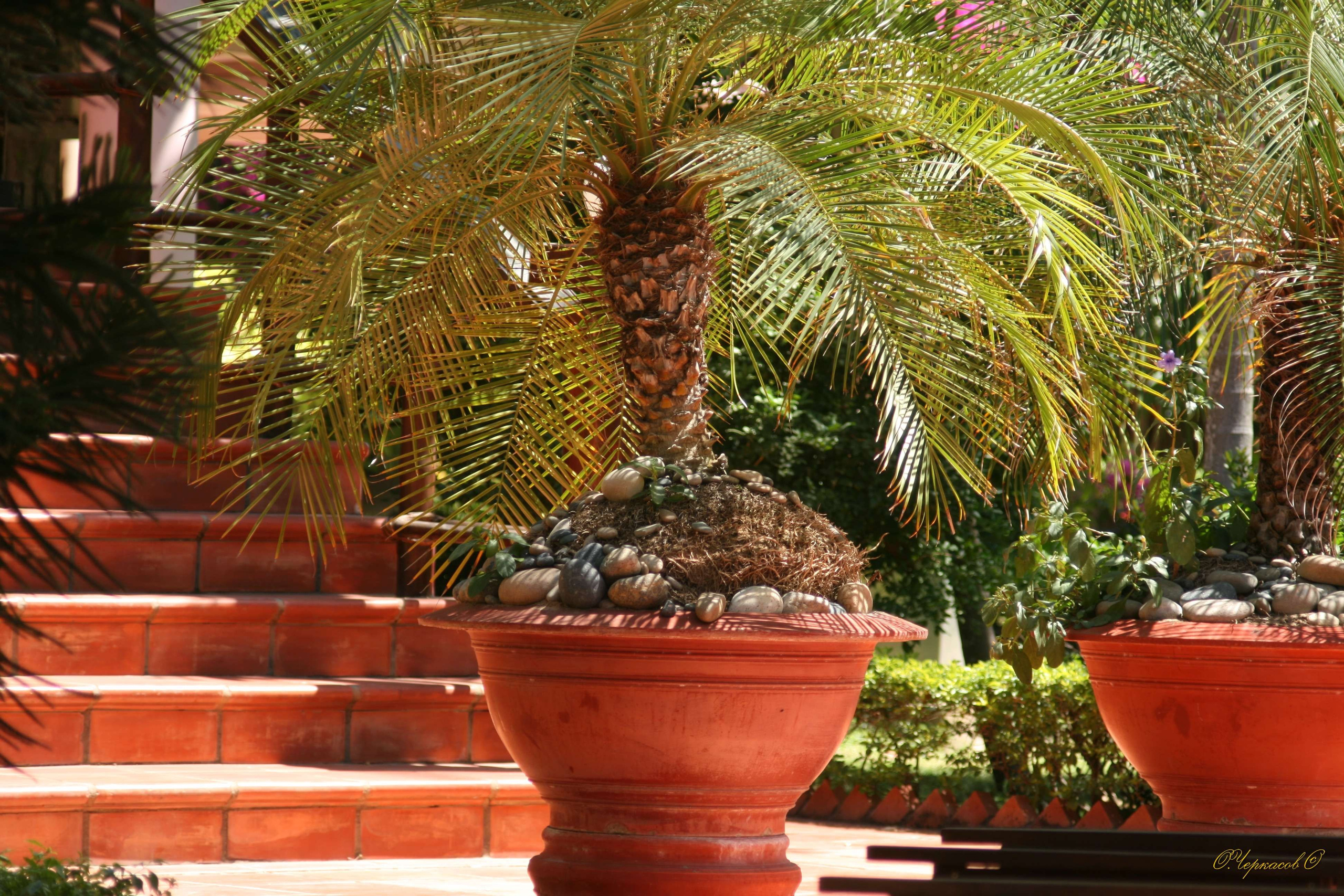 Вьетнам 2008 г. Улица, люди, жизнь…