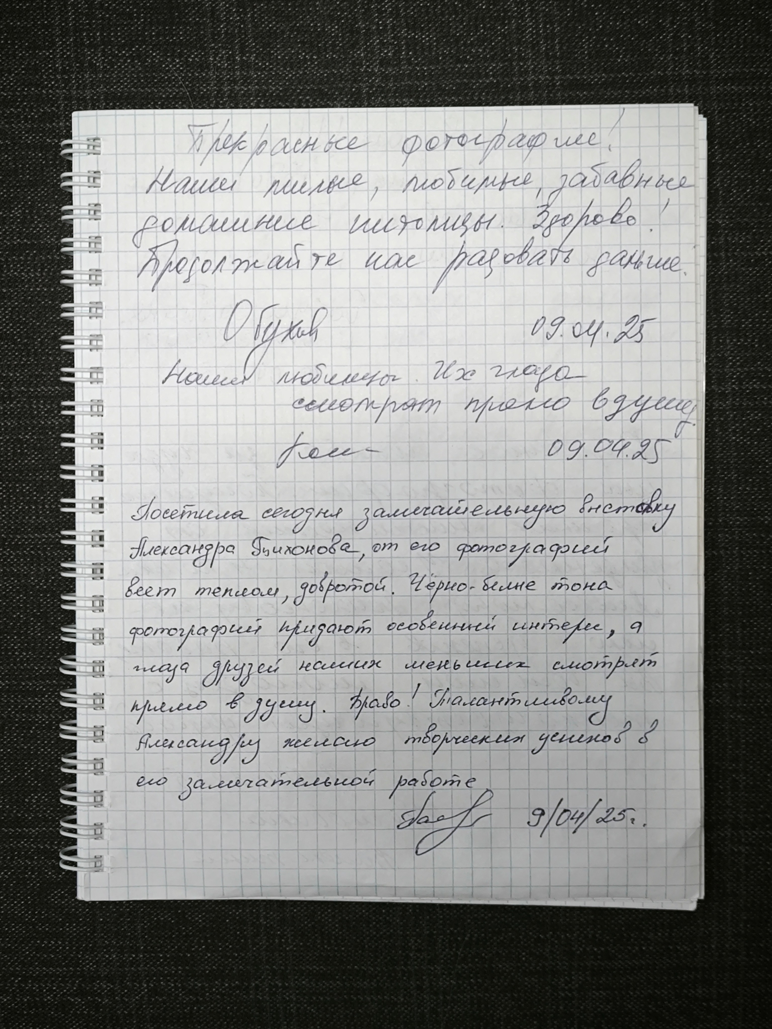 Выставка 01.04.2025. Фотограф Александр Тихонов