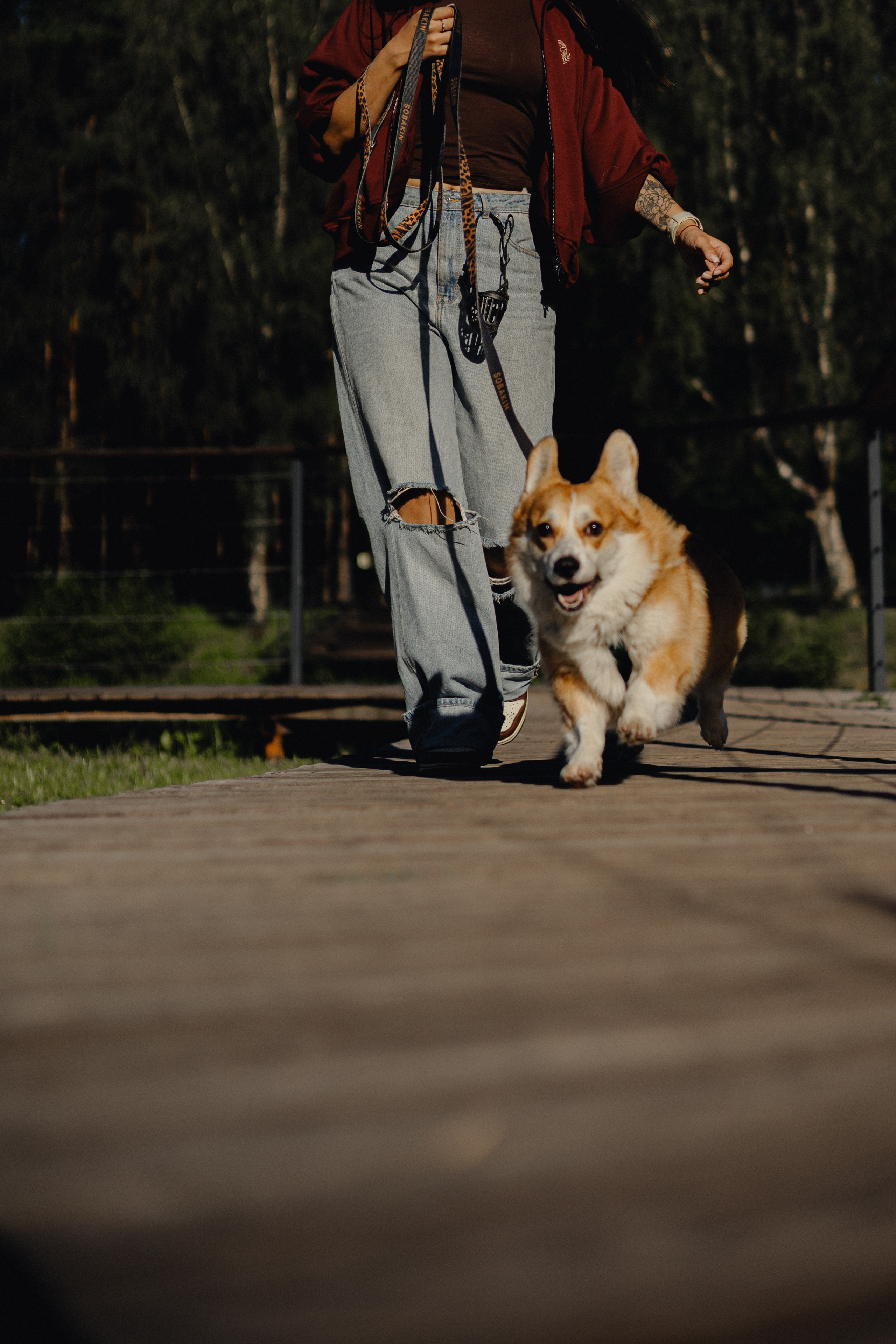 Мари & Йосик. Фотограф — анималист •love-story•|Санкт-Петербург