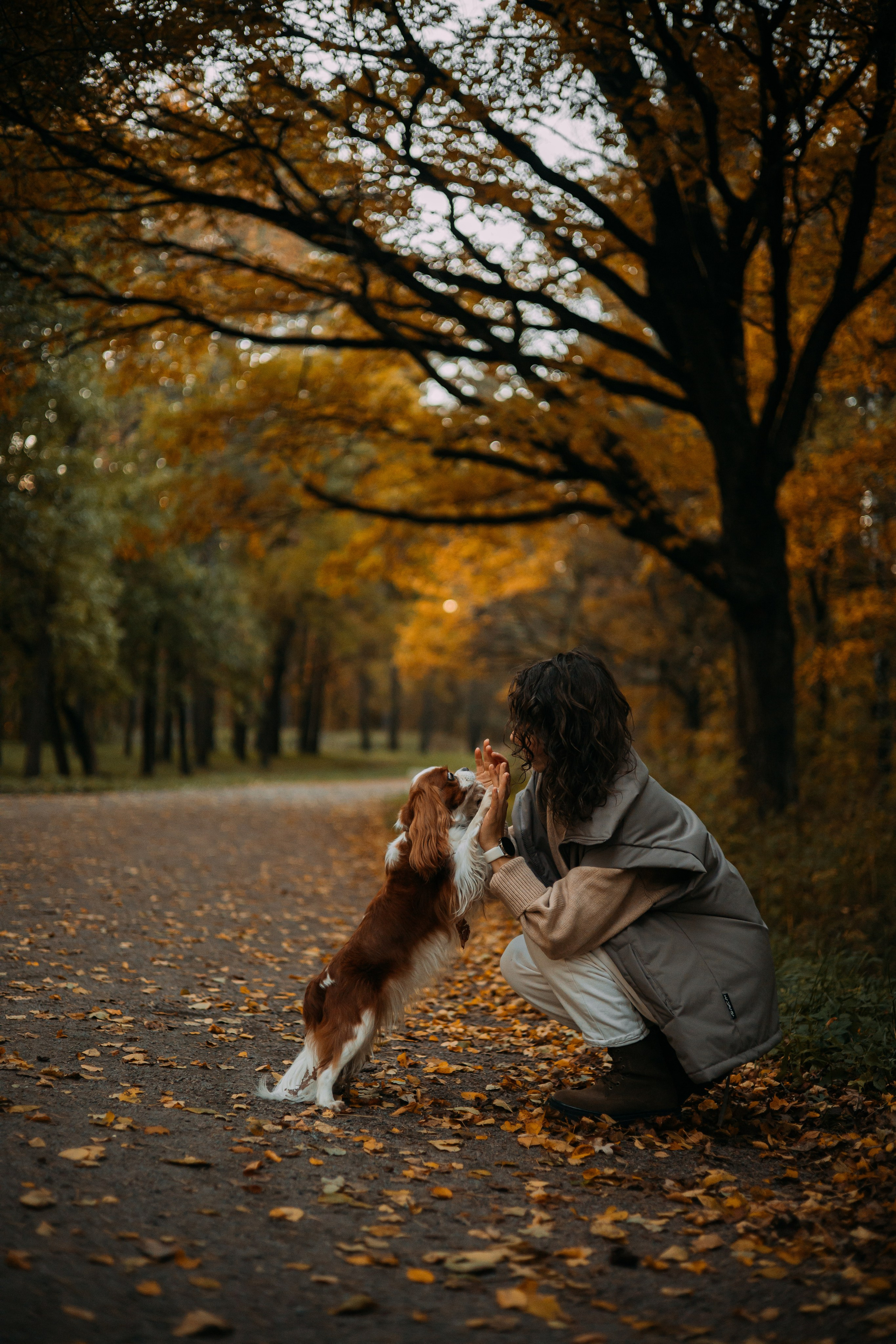 Снежанна и Тесси. Фотограф — анималист •love-story•|Санкт-Петербург