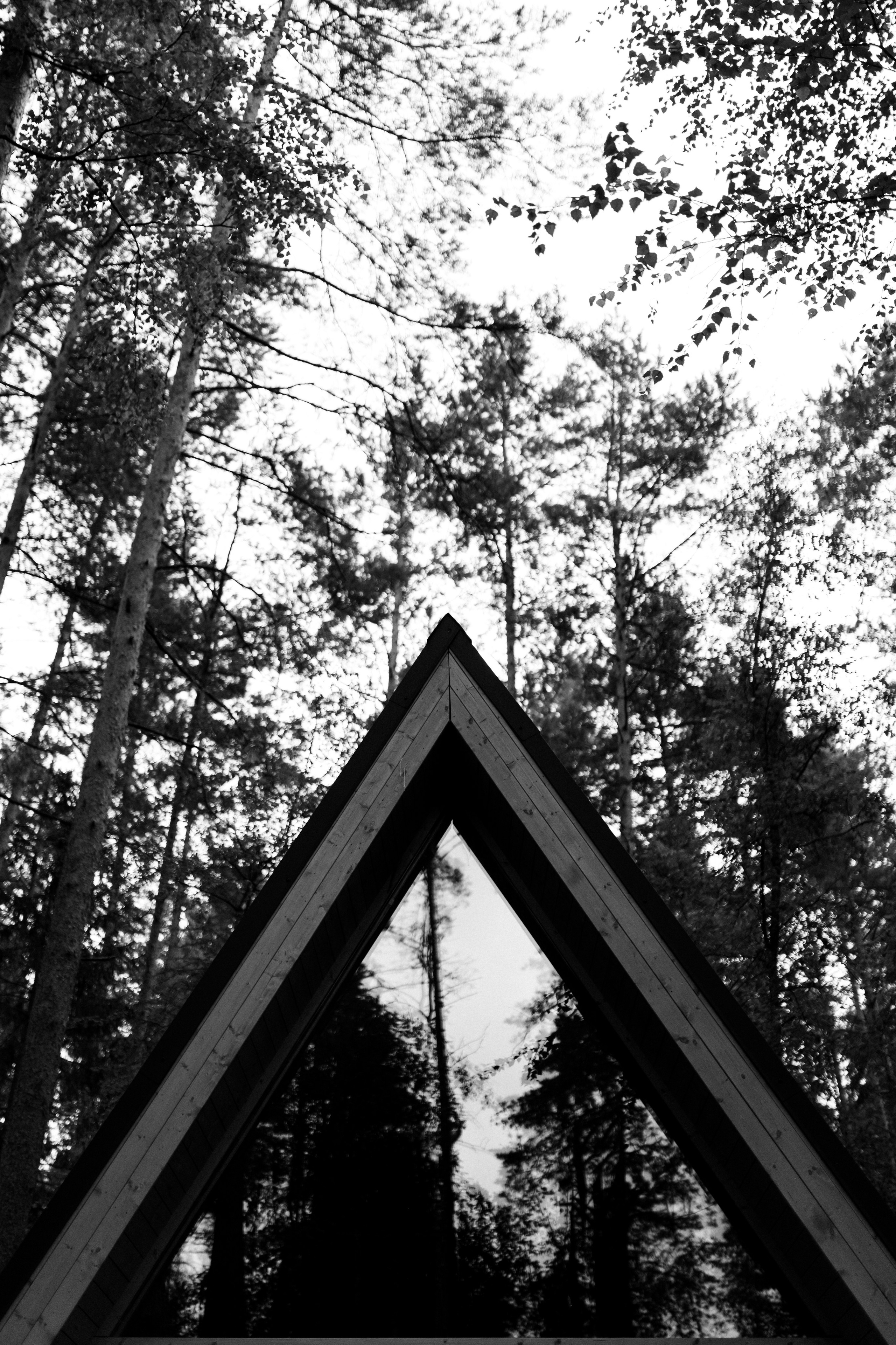 Ромашковые ромашки. Свадебный и семейный фотограф в Твери, Москве, Санкт-Петербурге