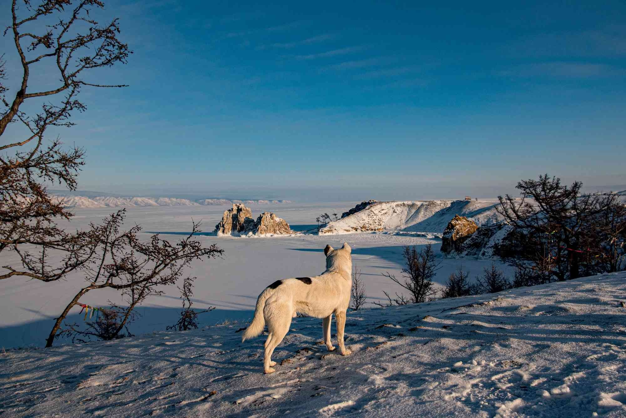 Портфолио. Свадебный фотограф Дина Сейцман