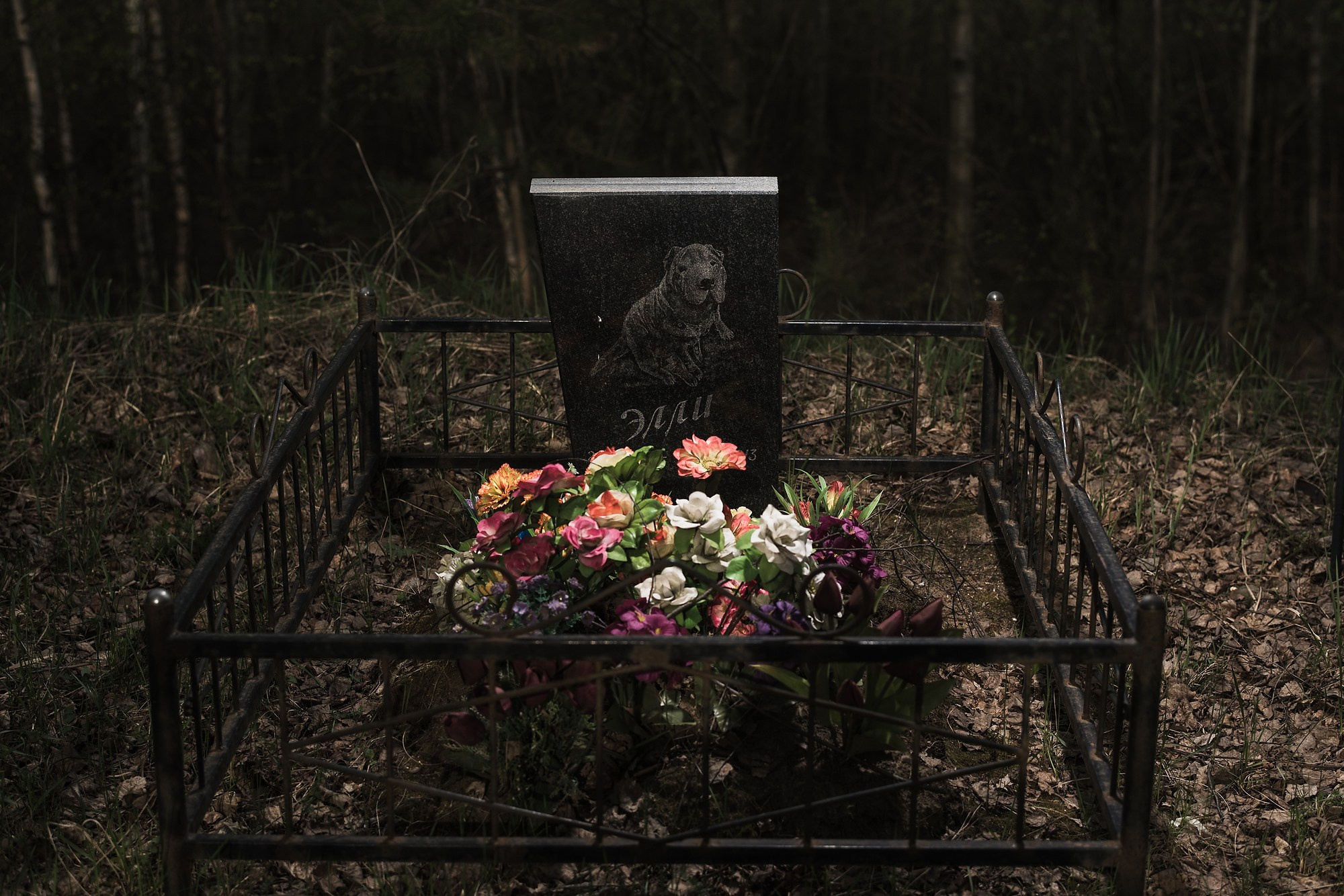 Кладбище домашних животных. Промышленная и репортажная фотография