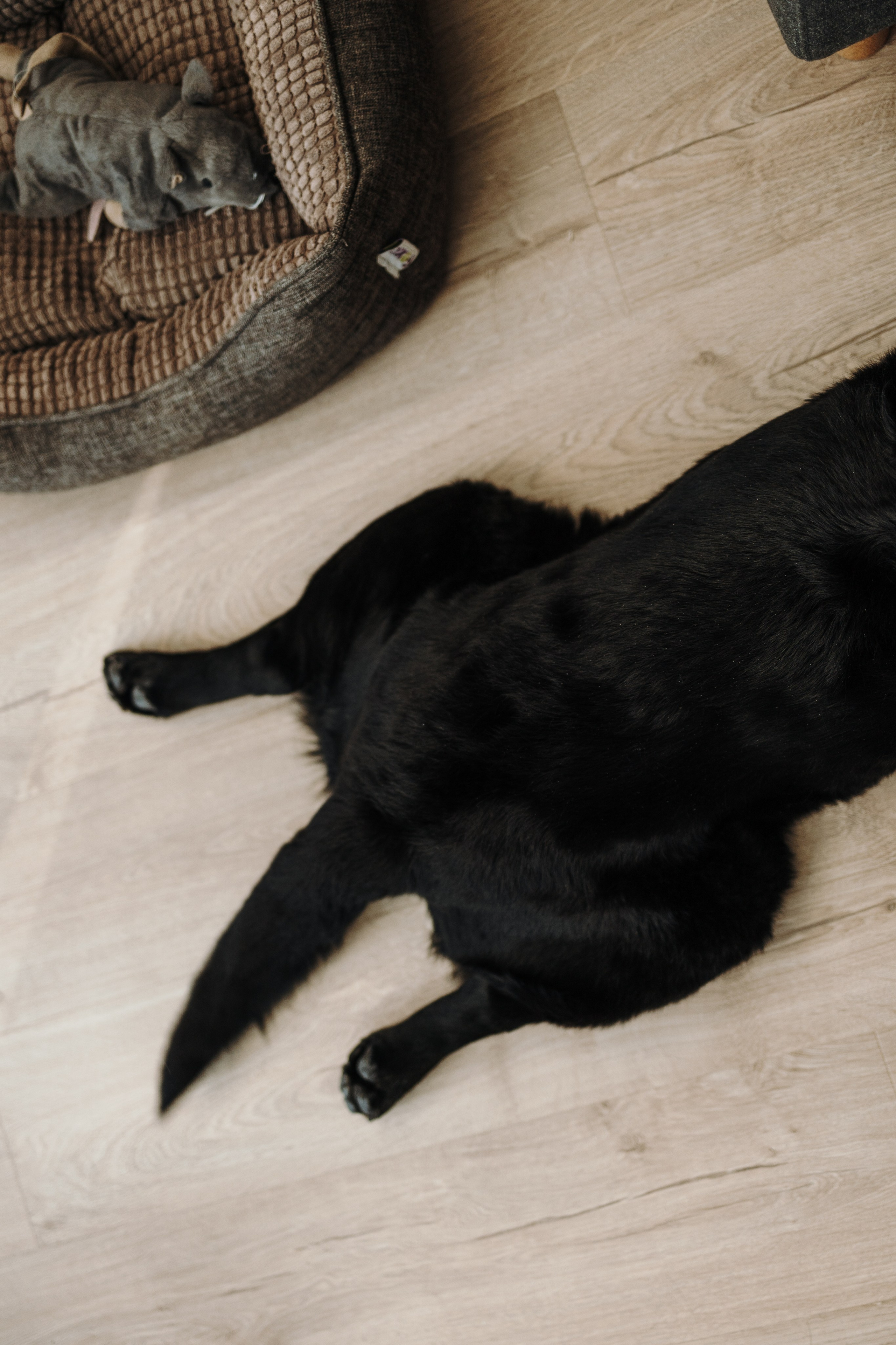 Таня и ее семья. Фотограф — Анималист | Санкт-Петербург