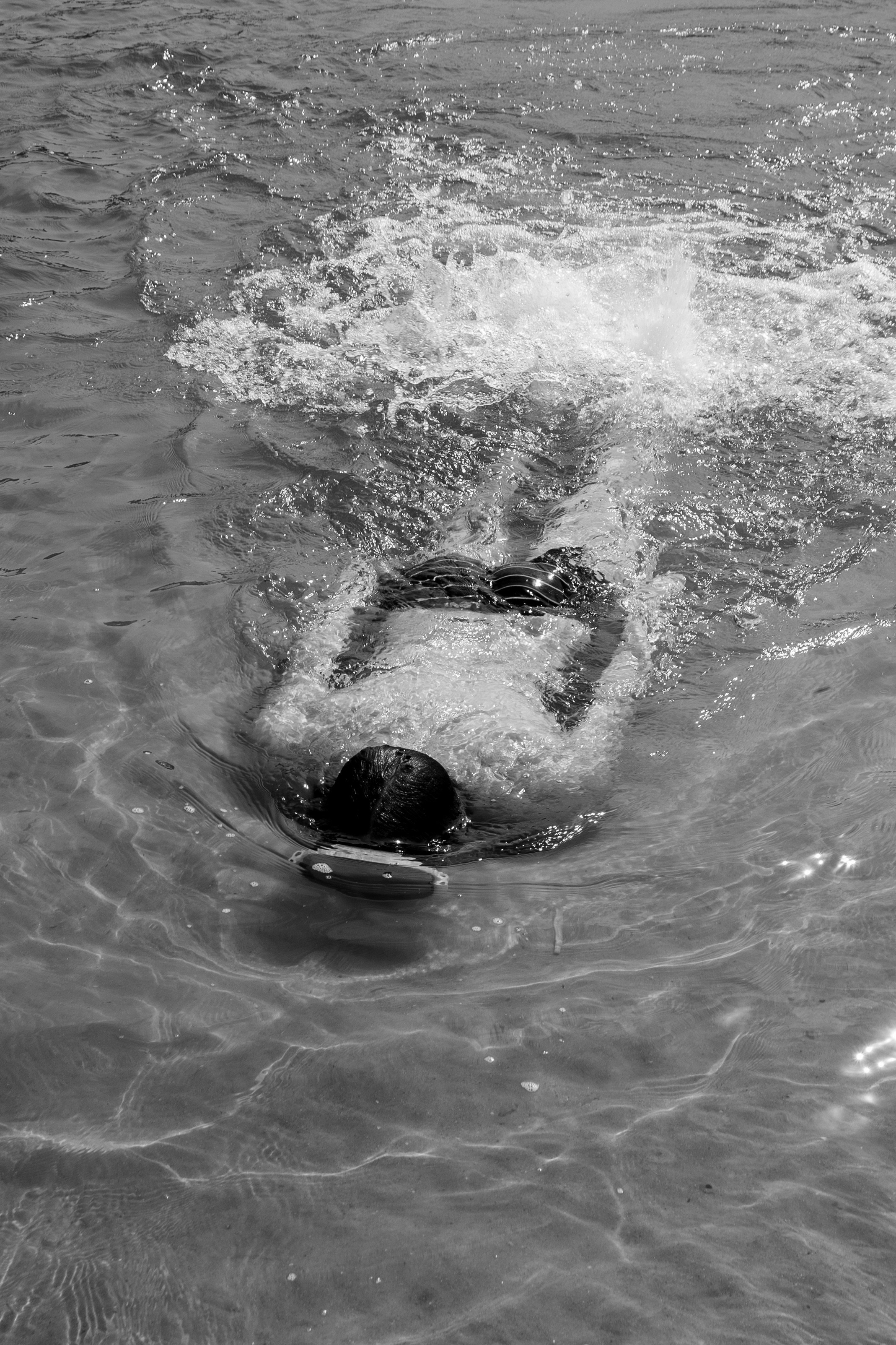 Творчество. Дмитрий Шуйский, фотограф