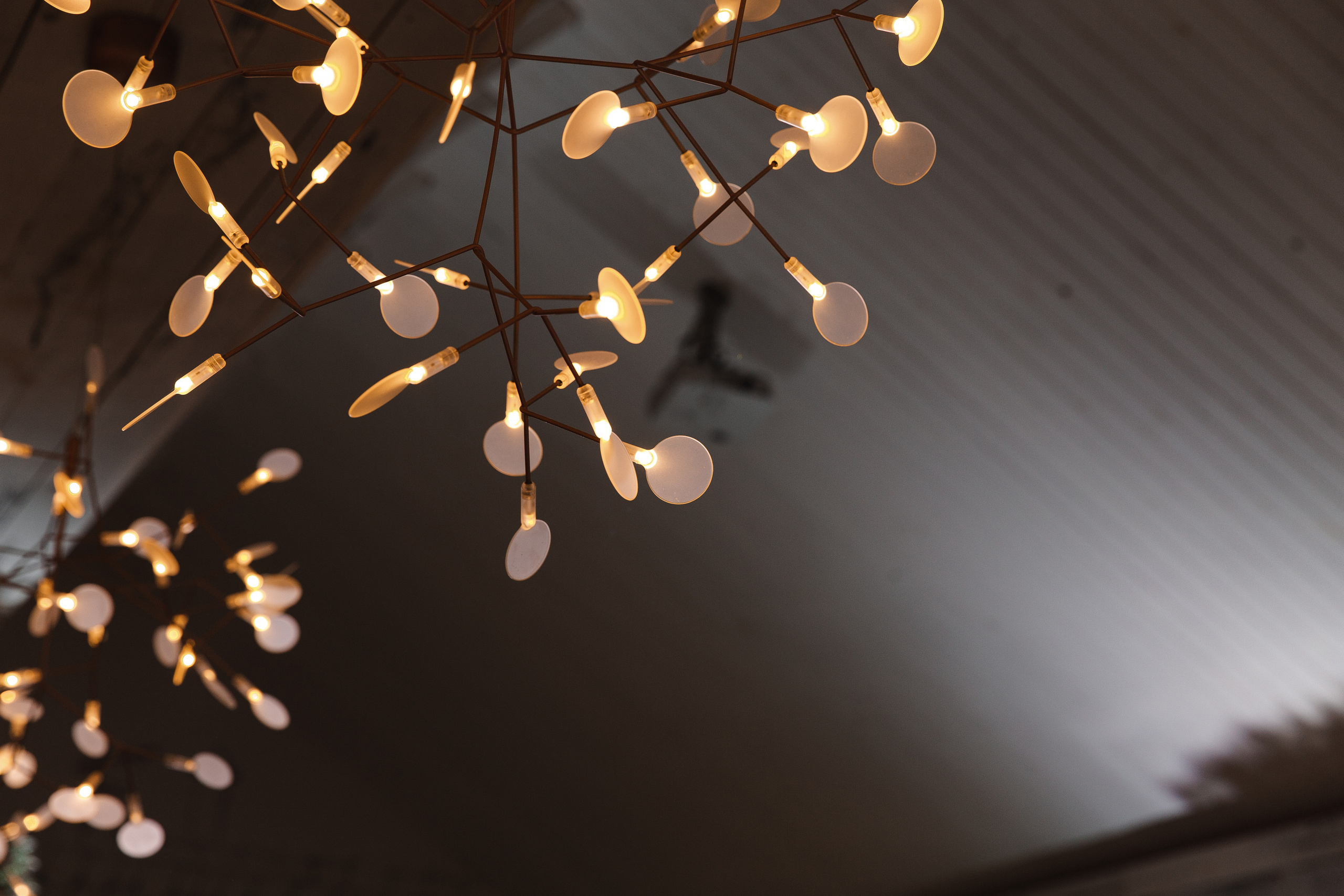 Артём и Таня — свадьба с уютом и светом. Свадебный фотограф в Оренбурге Илья Володьков