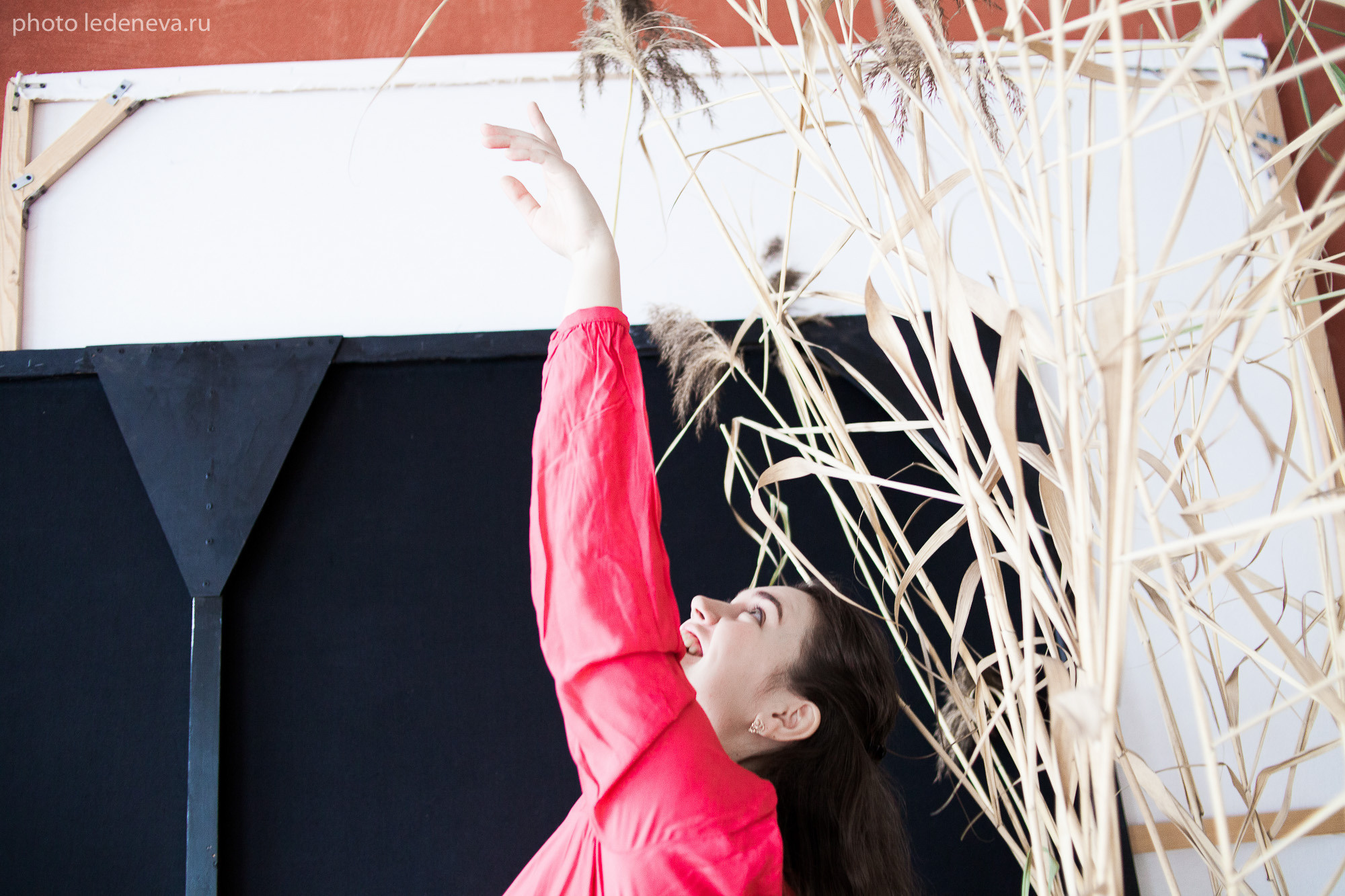 Поиск в движении. Анна Леденева Фотограф