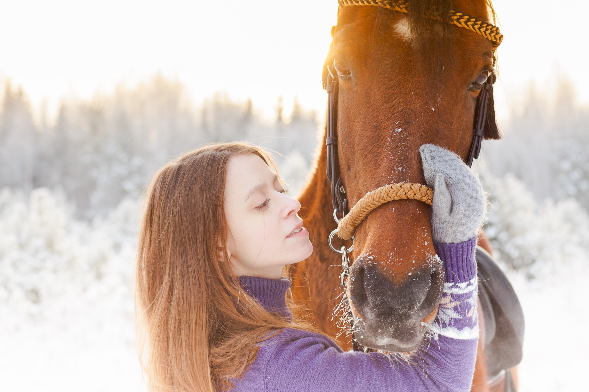 Йаххо Конный клуб. Анна Леденева Фотограф