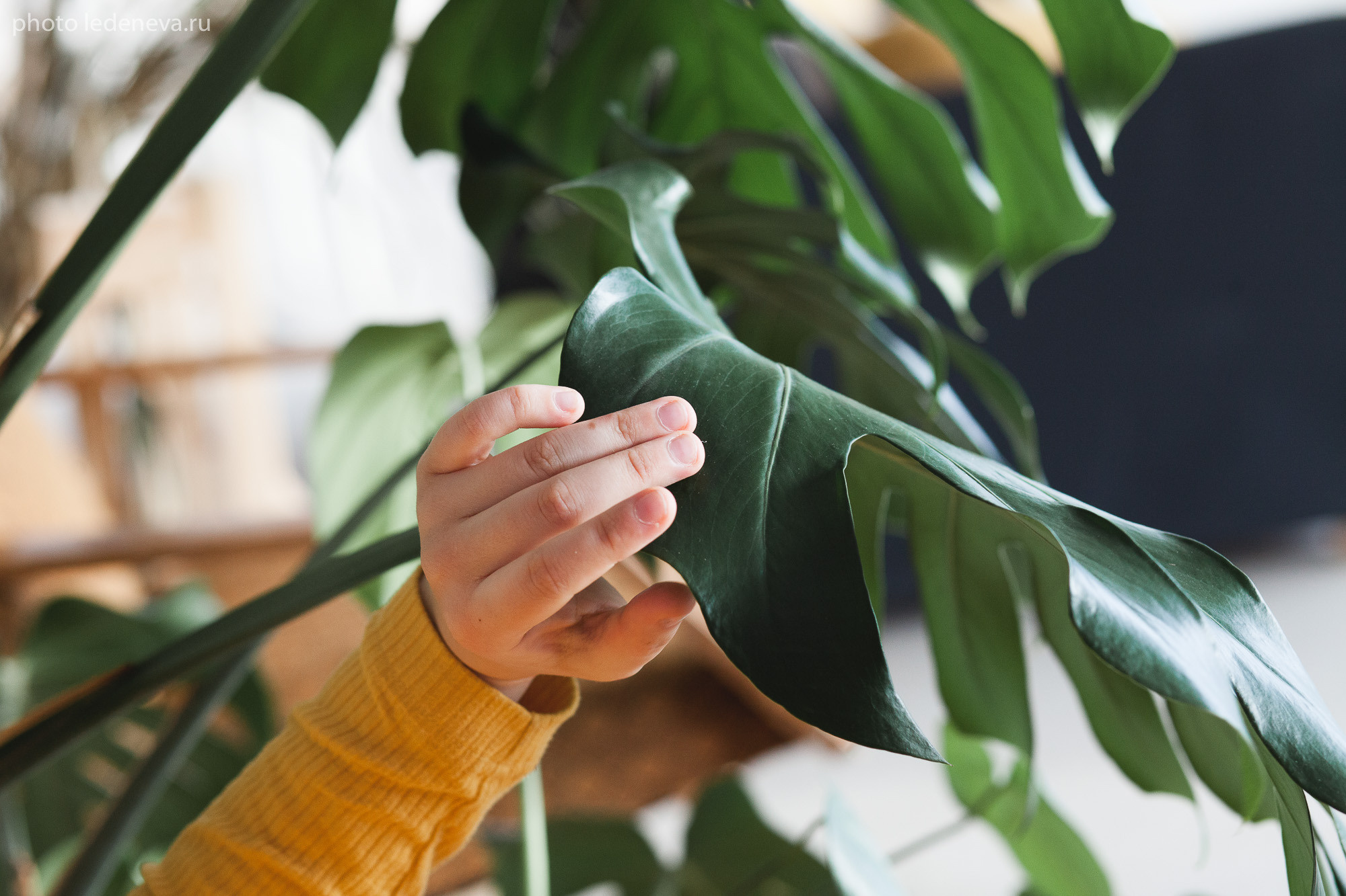 Поиск в движении. Анна Леденева Фотограф