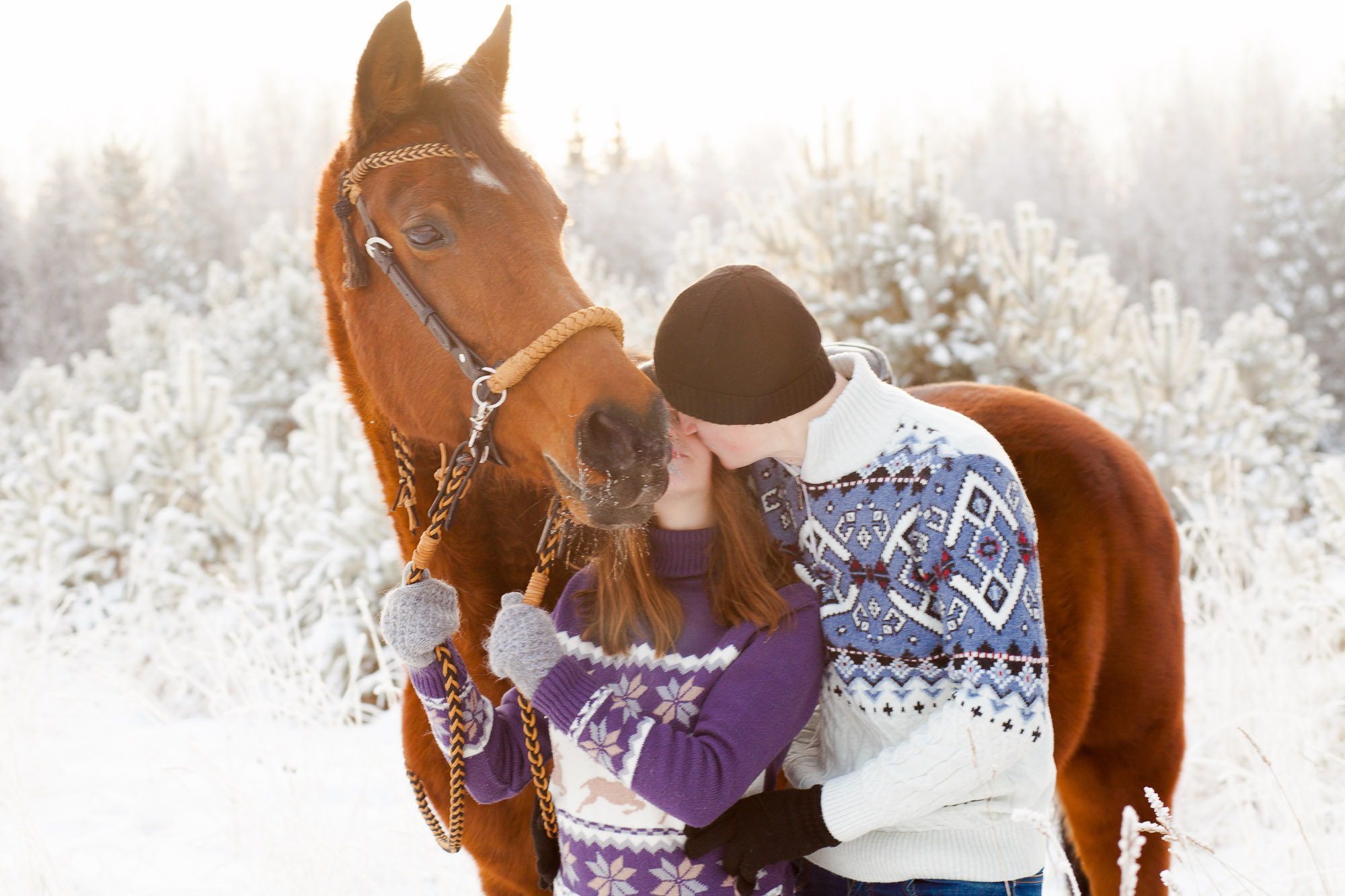 Йаххо Конный клуб. Анна Леденева Фотограф