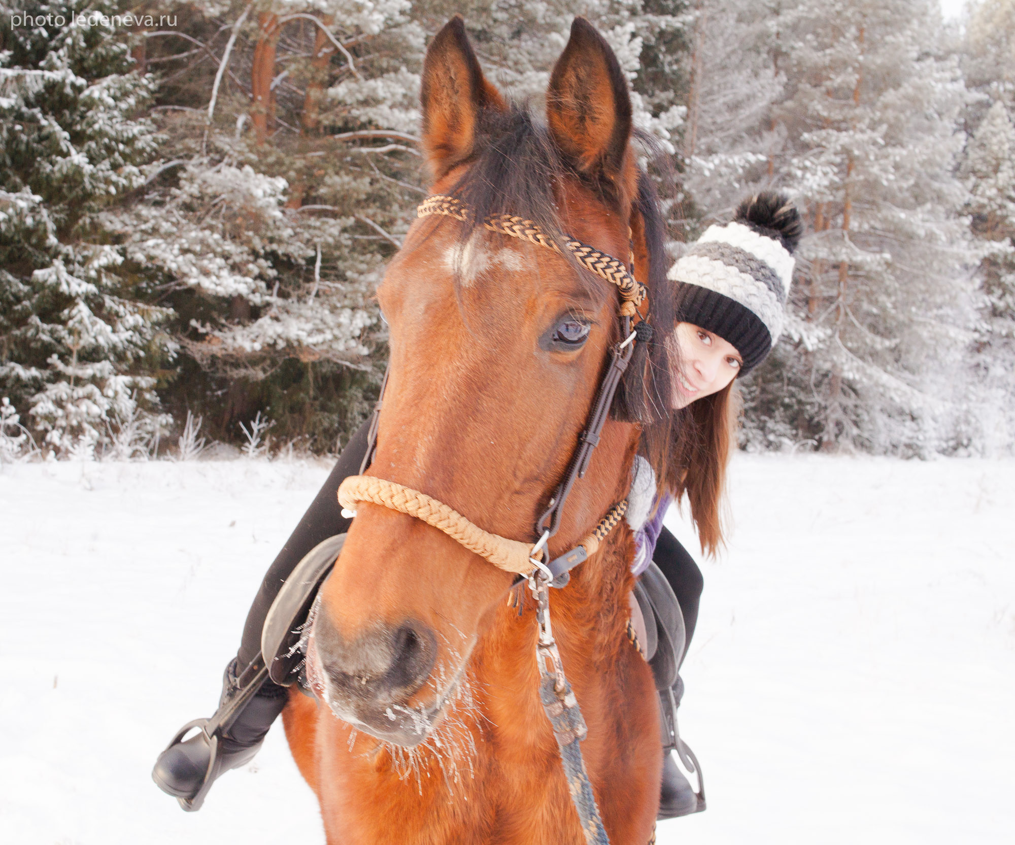 Йаххо Конный клуб. Анна Леденева Фотограф