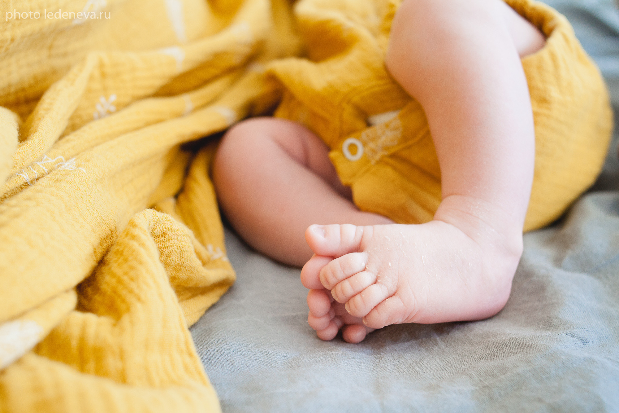 Фотосессия малыша в студии. Анна Леденева Фотограф