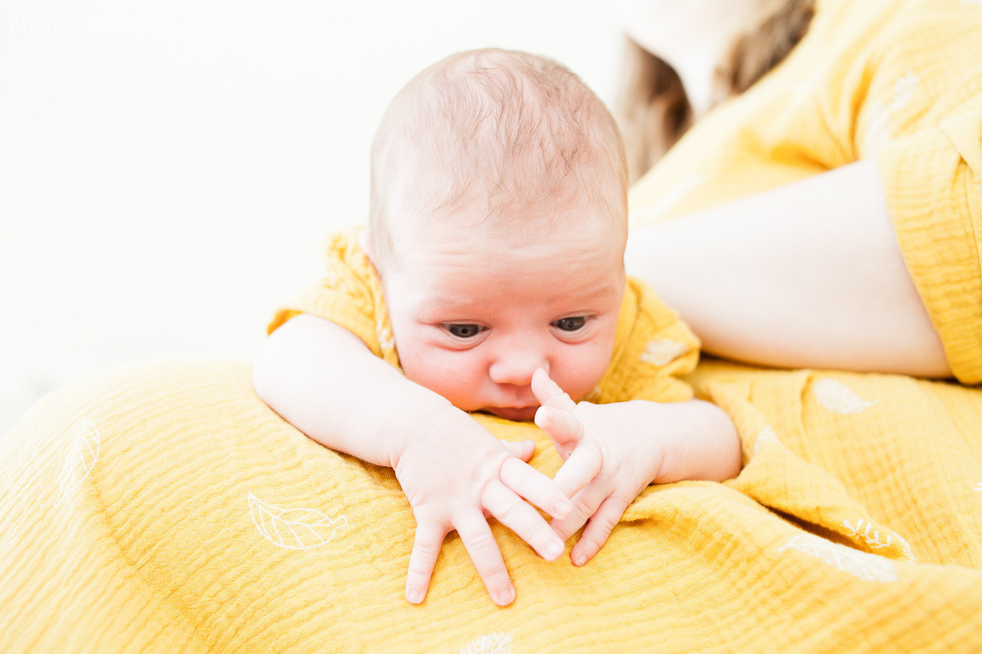 Фотосессия малыша в студии. Анна Леденева Фотограф