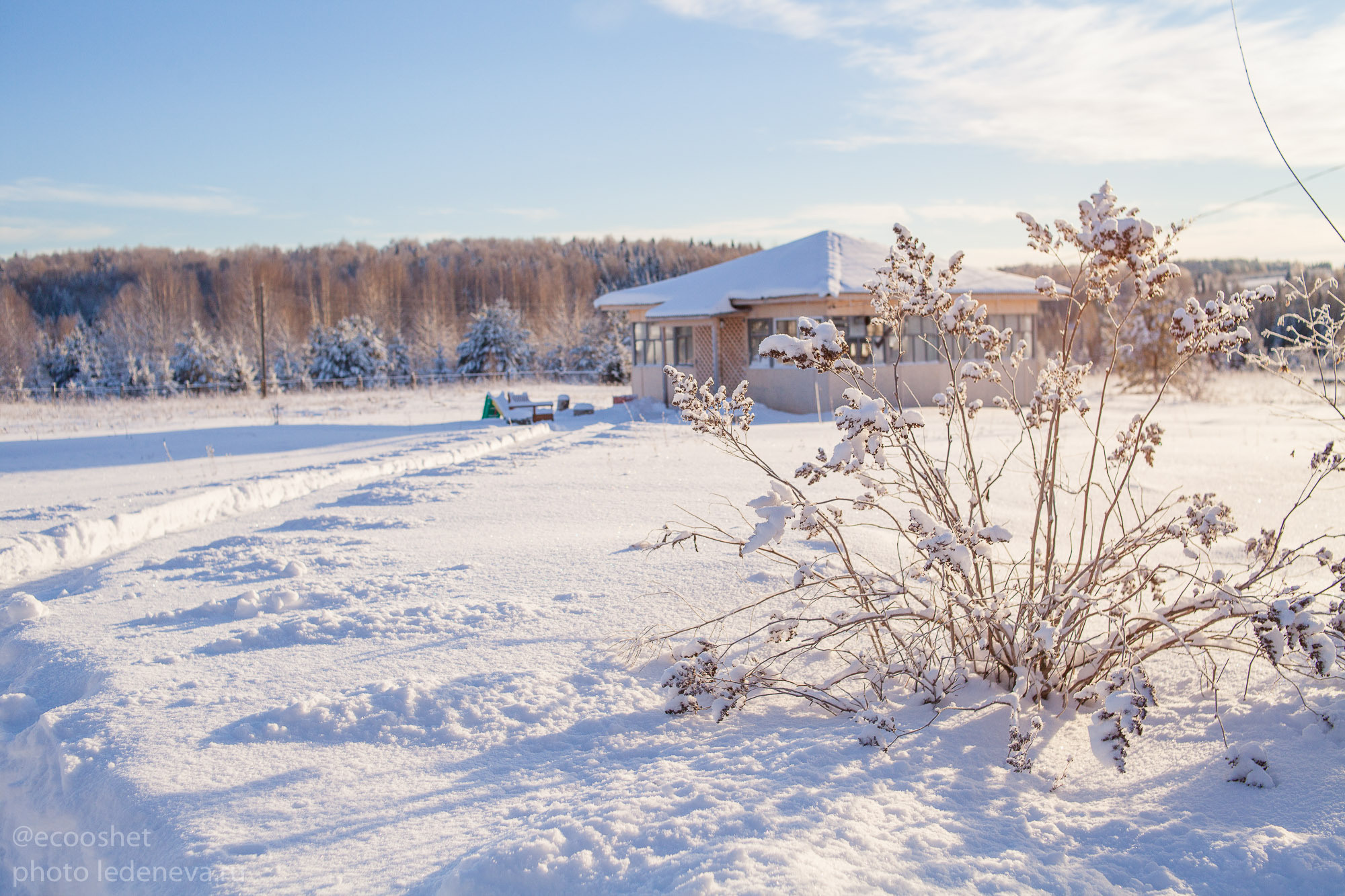 Ошеть сыры. Анна Леденева Фотограф