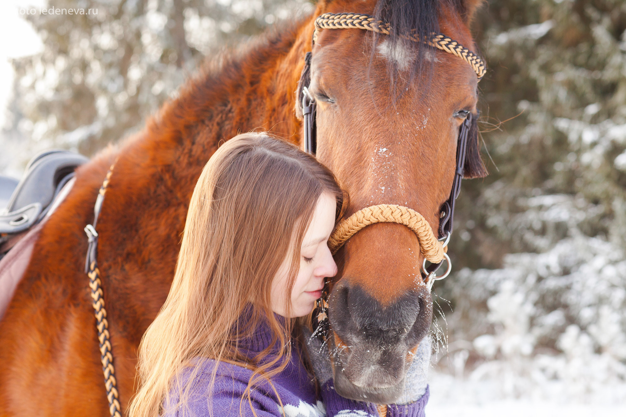 Йаххо Конный клуб. Анна Леденева Фотограф
