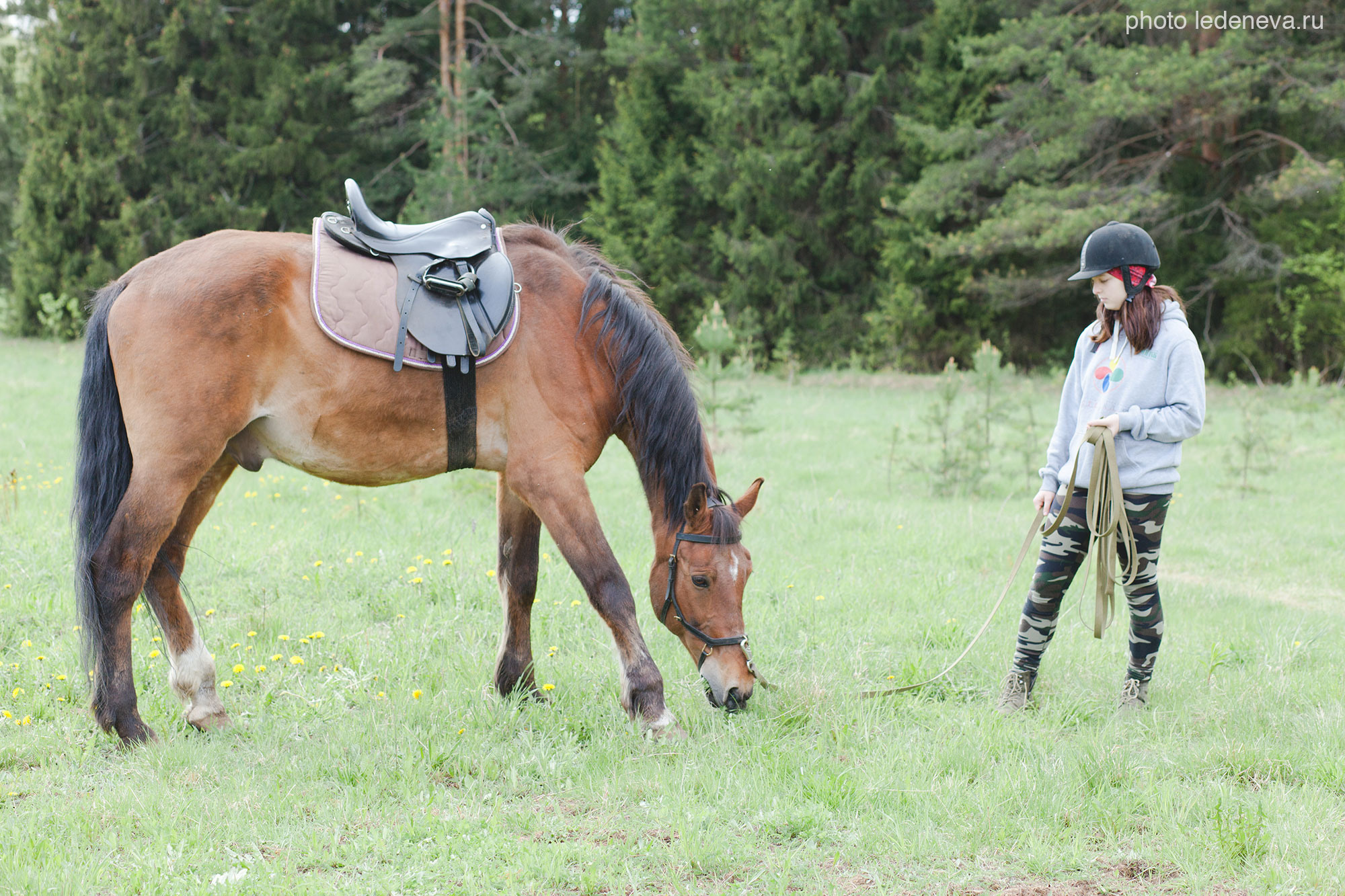 Йаххо Конный клуб. Анна Леденева Фотограф