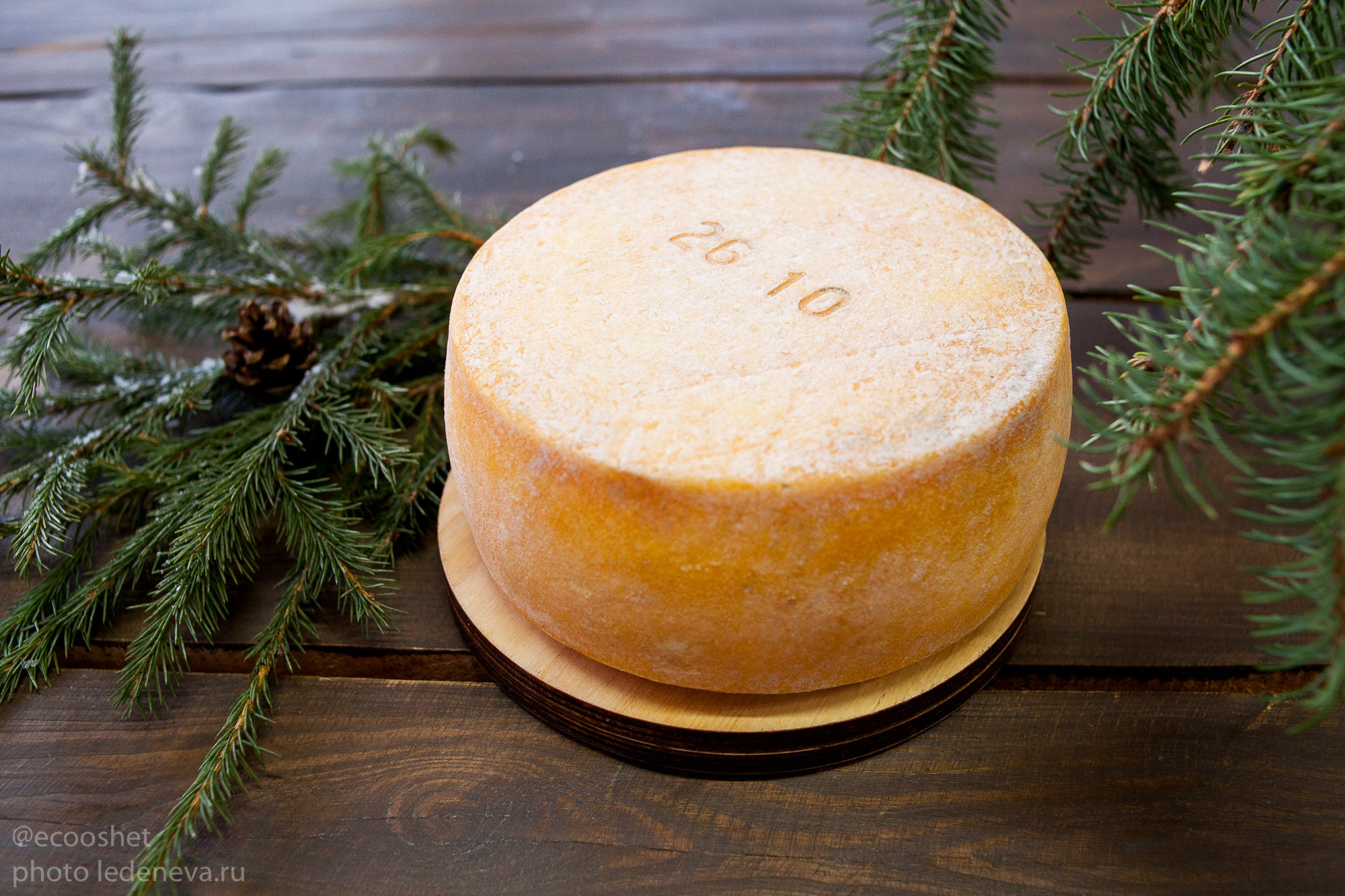 Ошеть сыры. Анна Леденева Фотограф