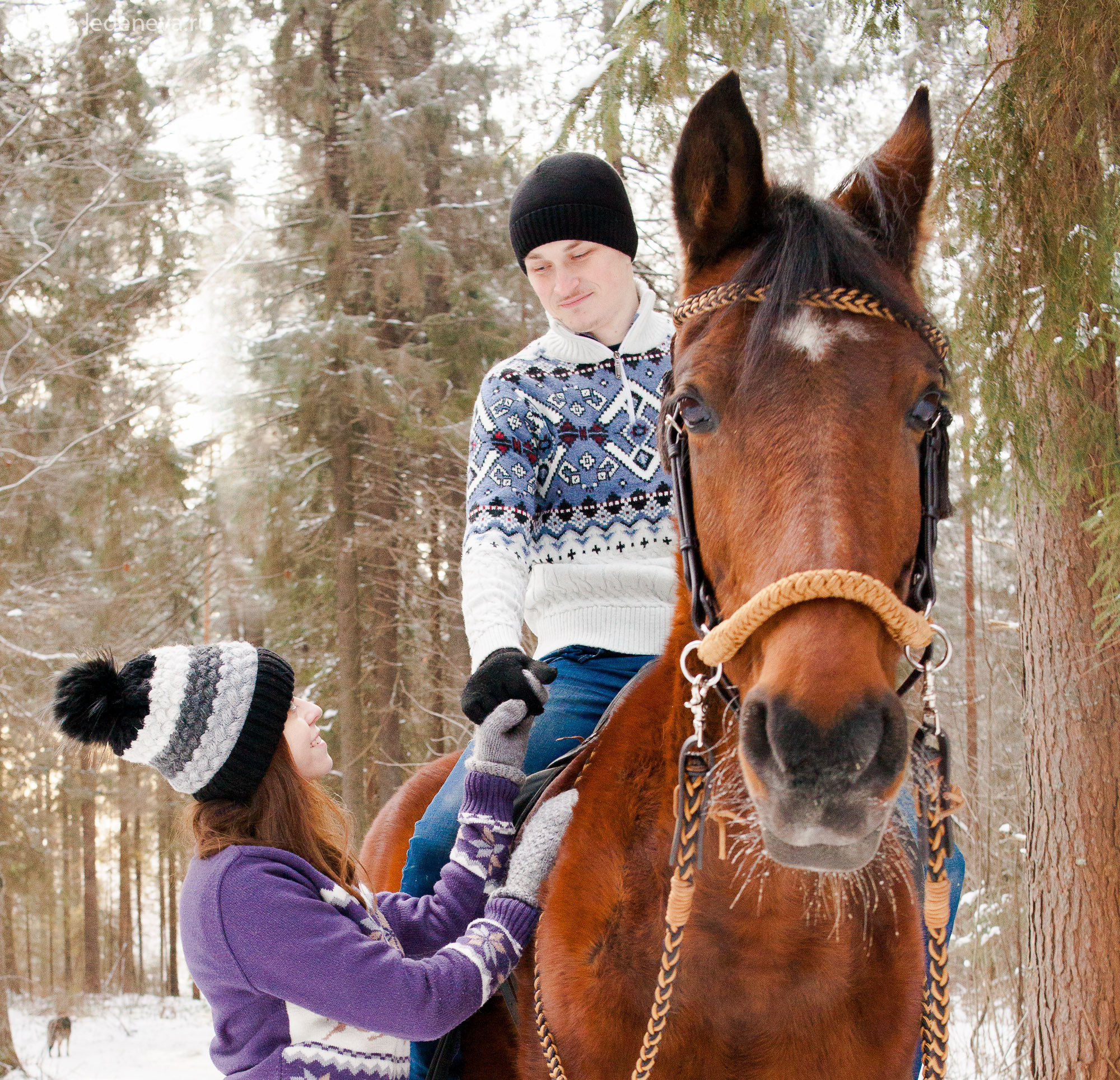 Йаххо Конный клуб. Анна Леденева Фотограф