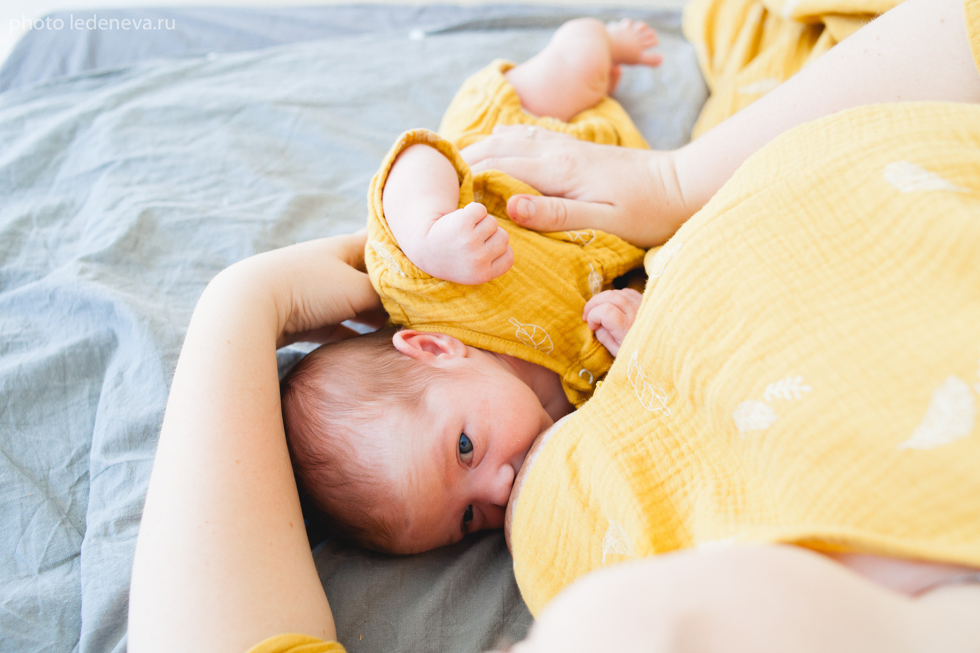 Фотосессия малыша в студии. Анна Леденева Фотограф