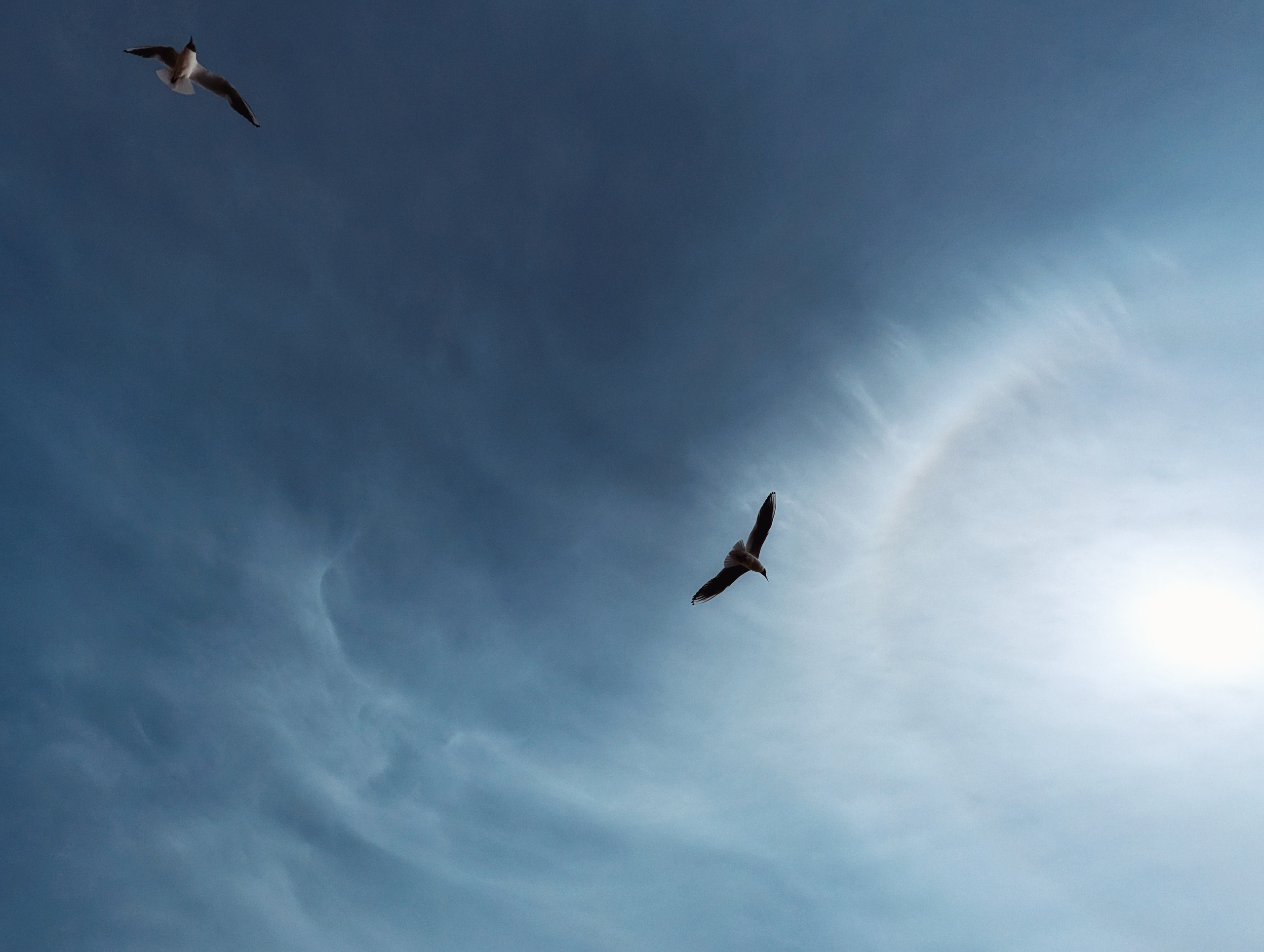 Вдохновение. Ph___tina