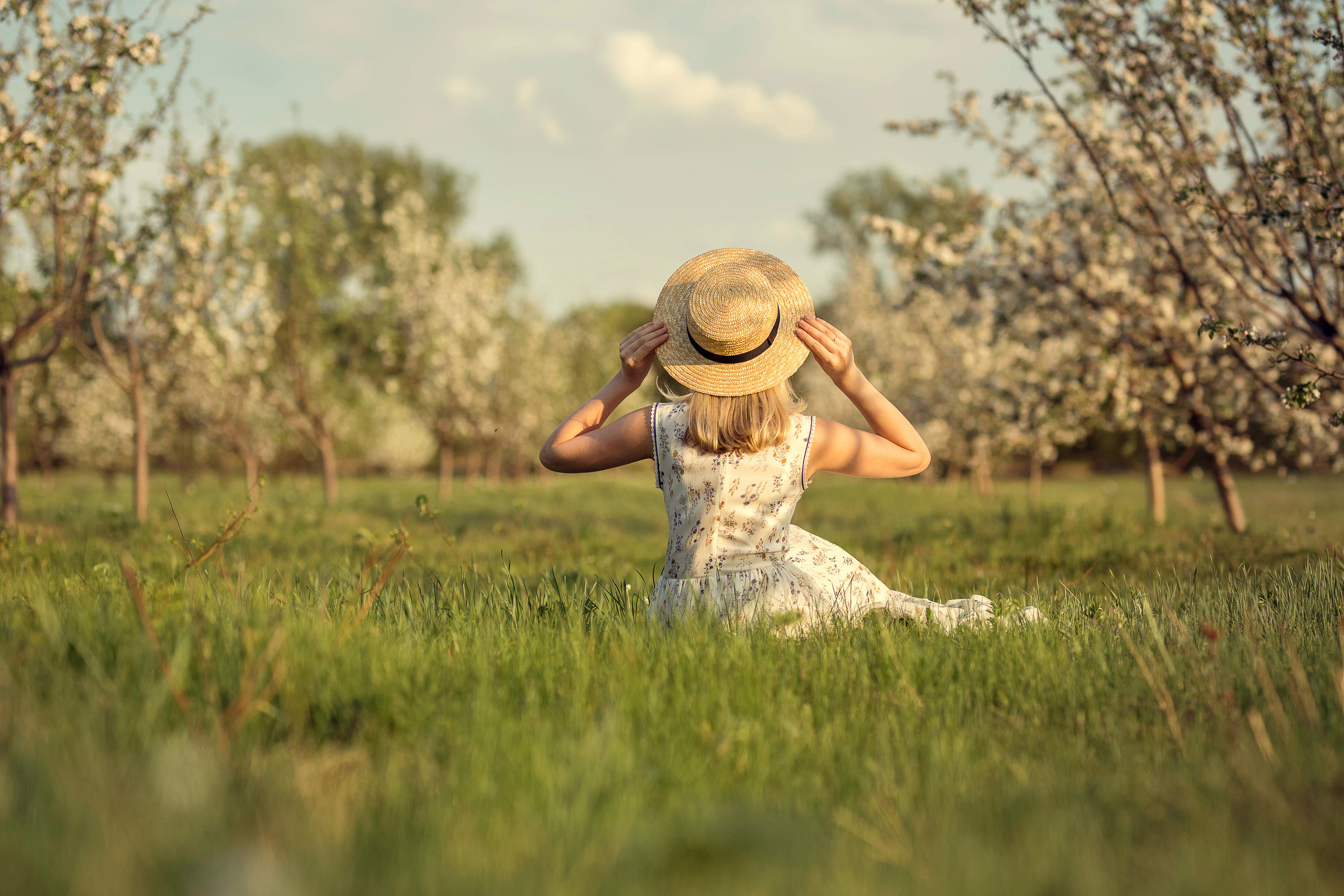 В цветении. Сайт