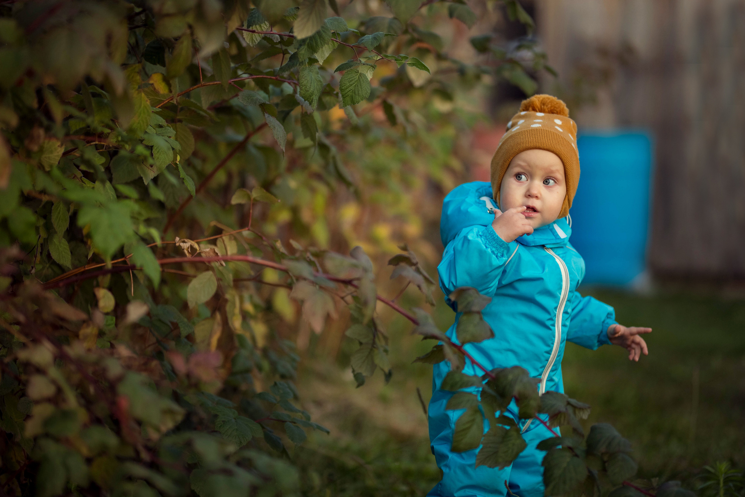 Прогулка в осеннем лесу. Сайт