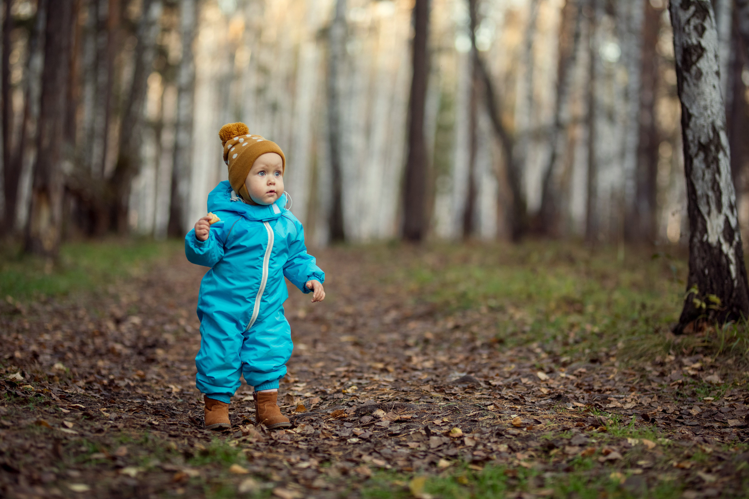 Прогулка в осеннем лесу. Сайт