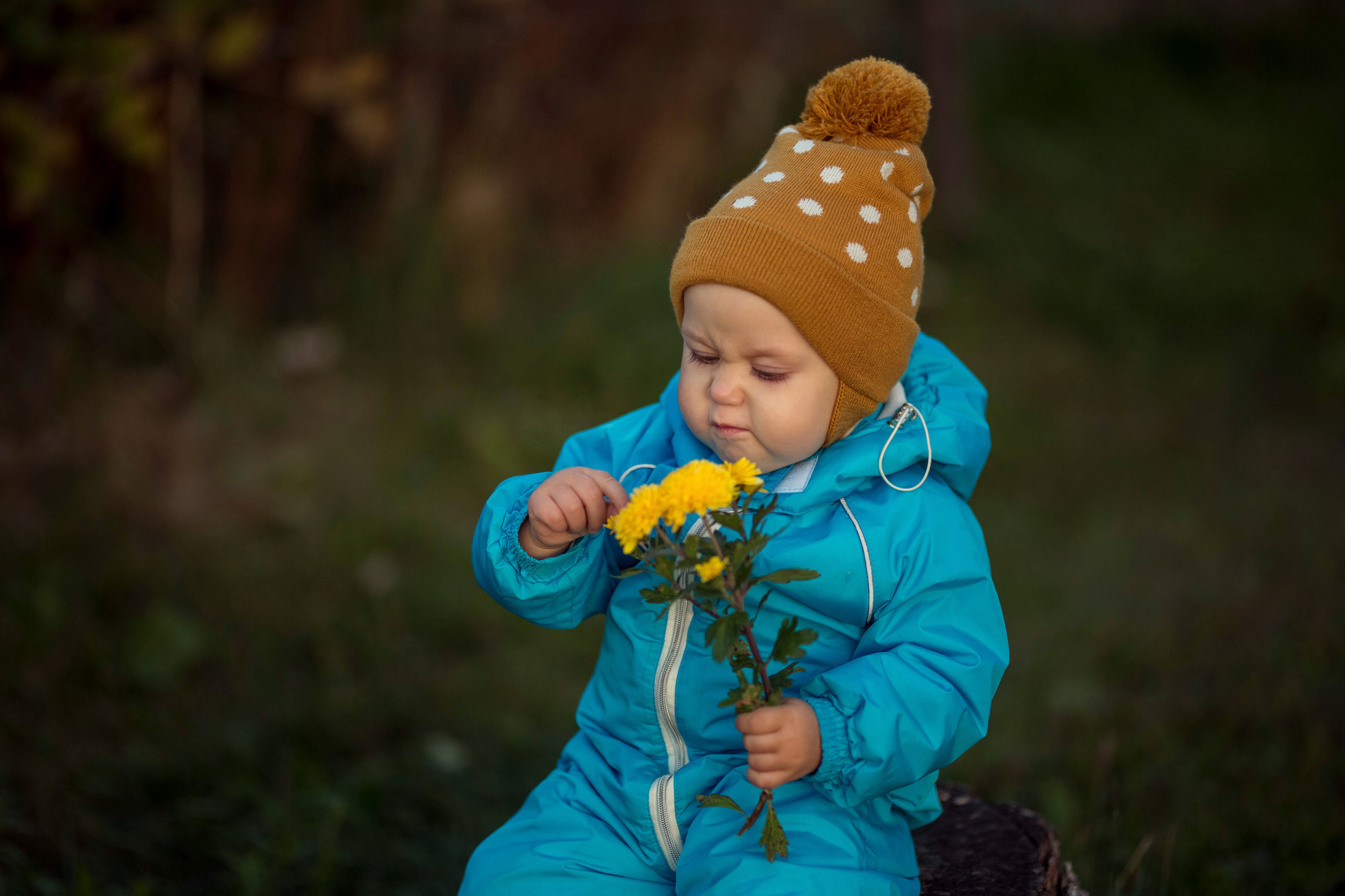 Прогулка в осеннем лесу. Сайт